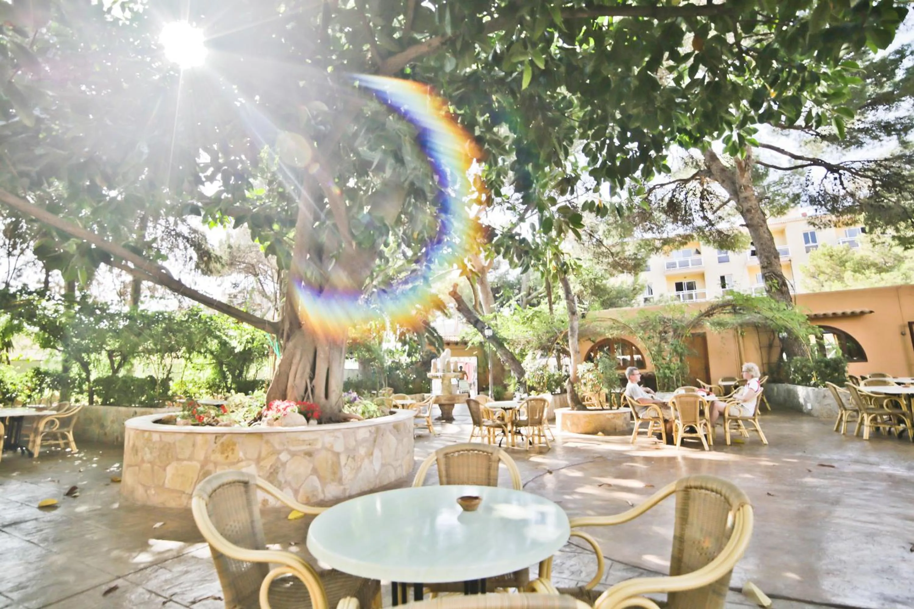 Restaurant/places to eat in Hotel Baviera