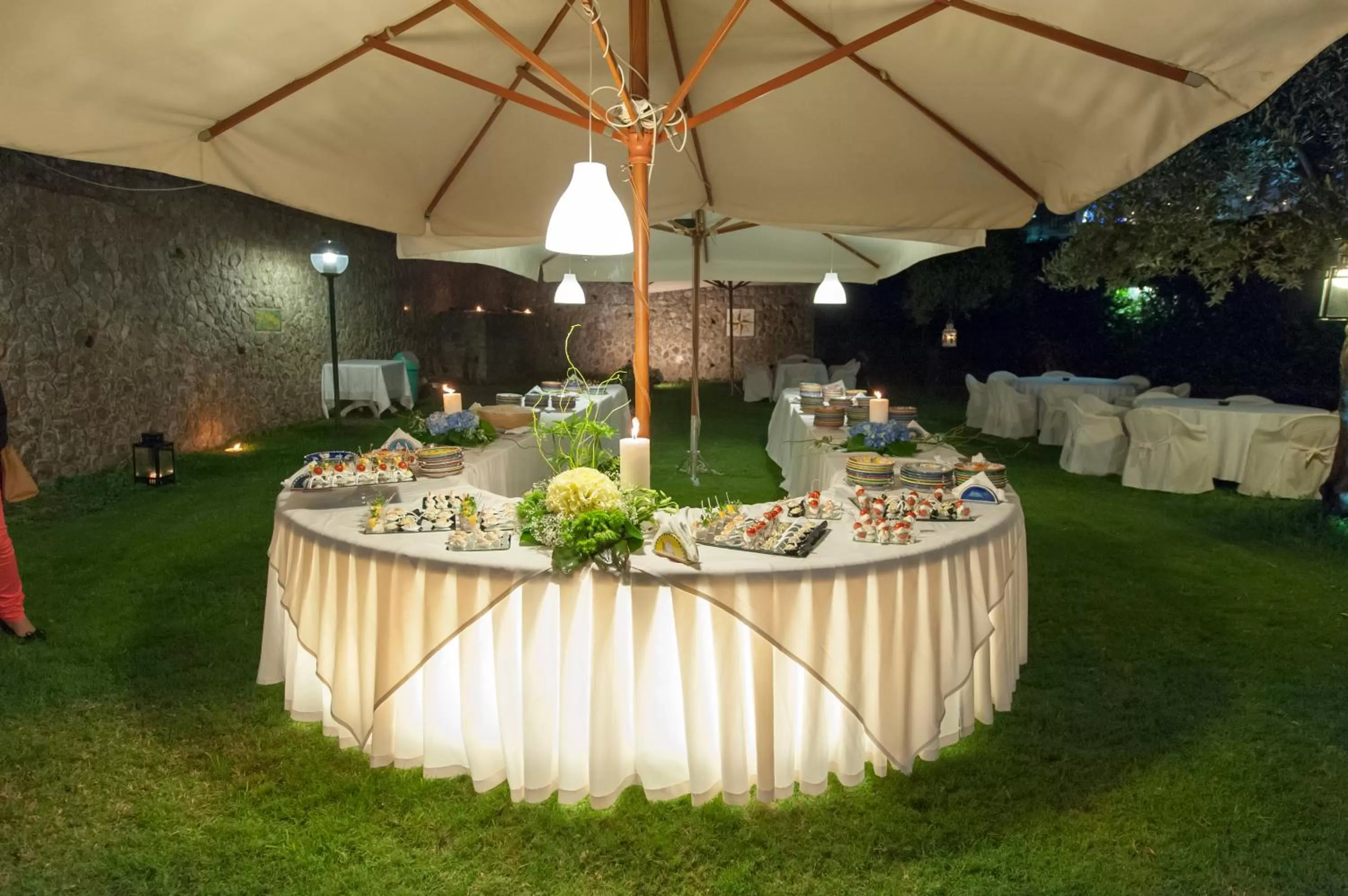 Garden in Hotel Bristol