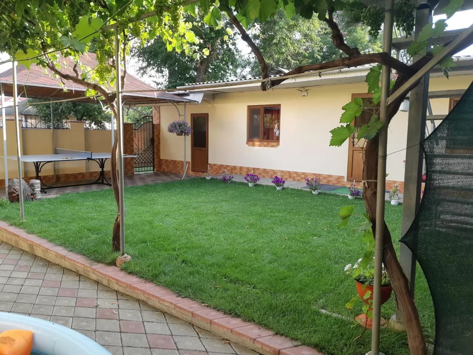 Garden in Casa Ala
