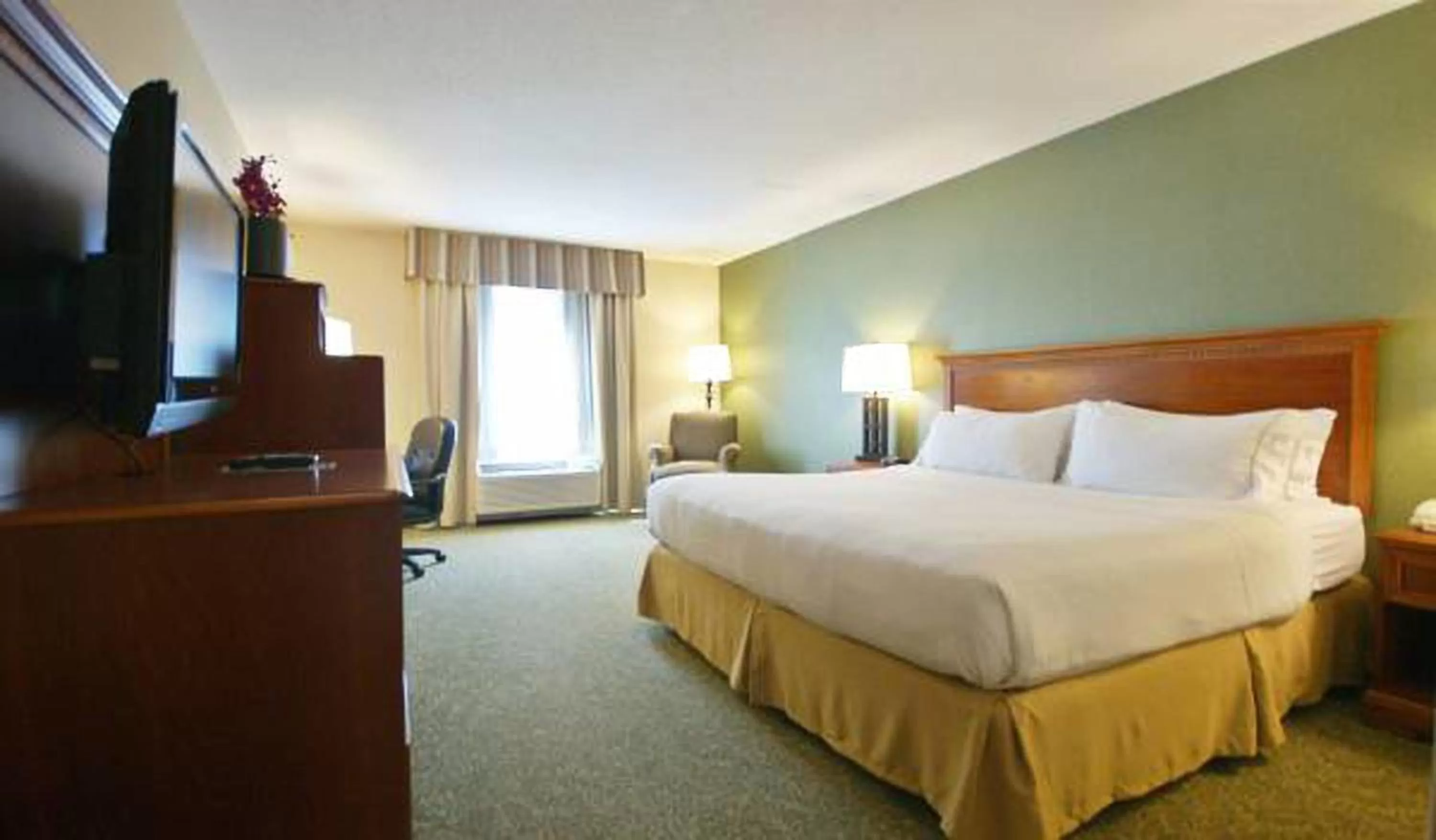 Deluxe King Room - Mobility Access Roll in Shower/Non-Smoking in Holiday Inn Express Hotel & Suites Hagerstown, an IHG Hotel