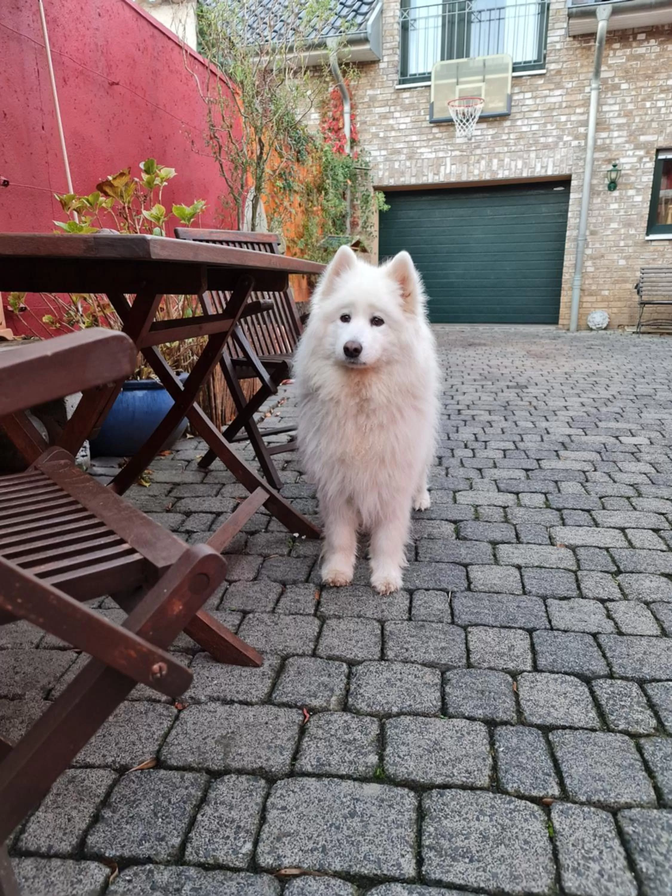 Patio in Schönste Lage am Rhein in unmittelbarer Stadtnähe, B & B