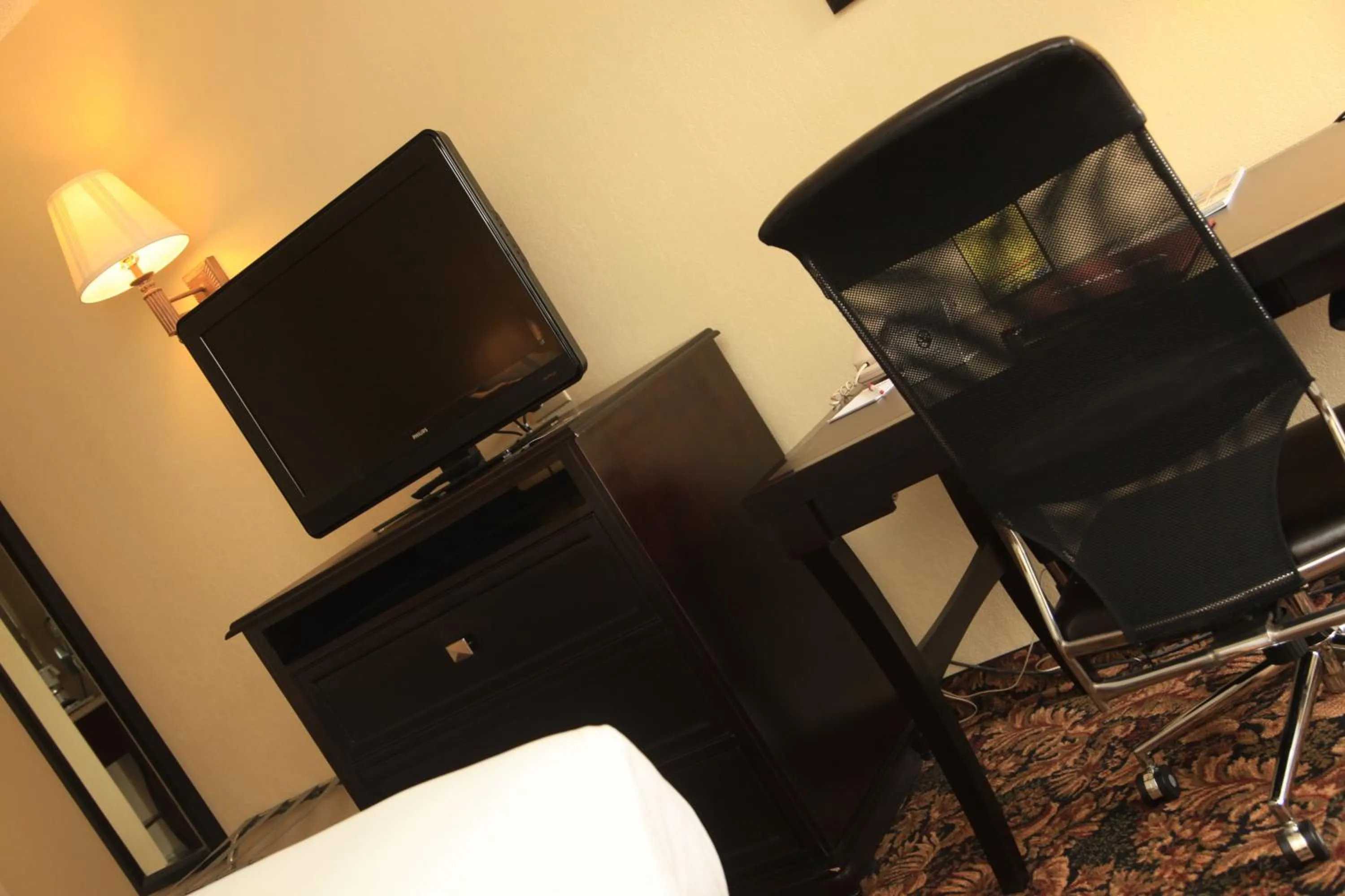 TV and multimedia in Plaza Inn Midland