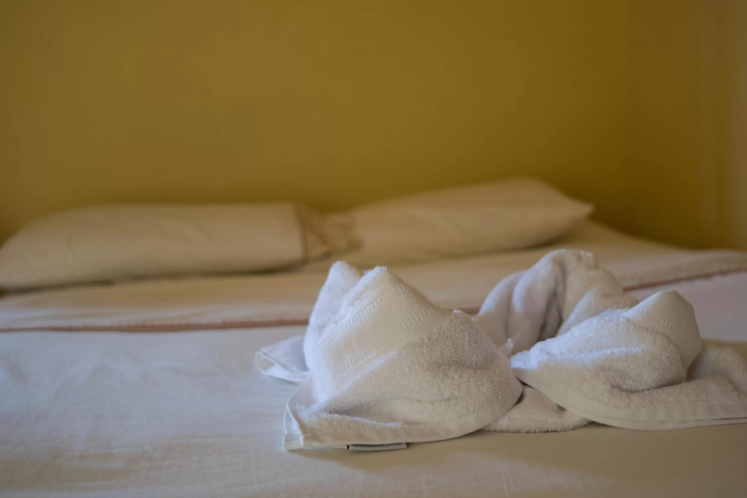 Bed in Hotel Valerie