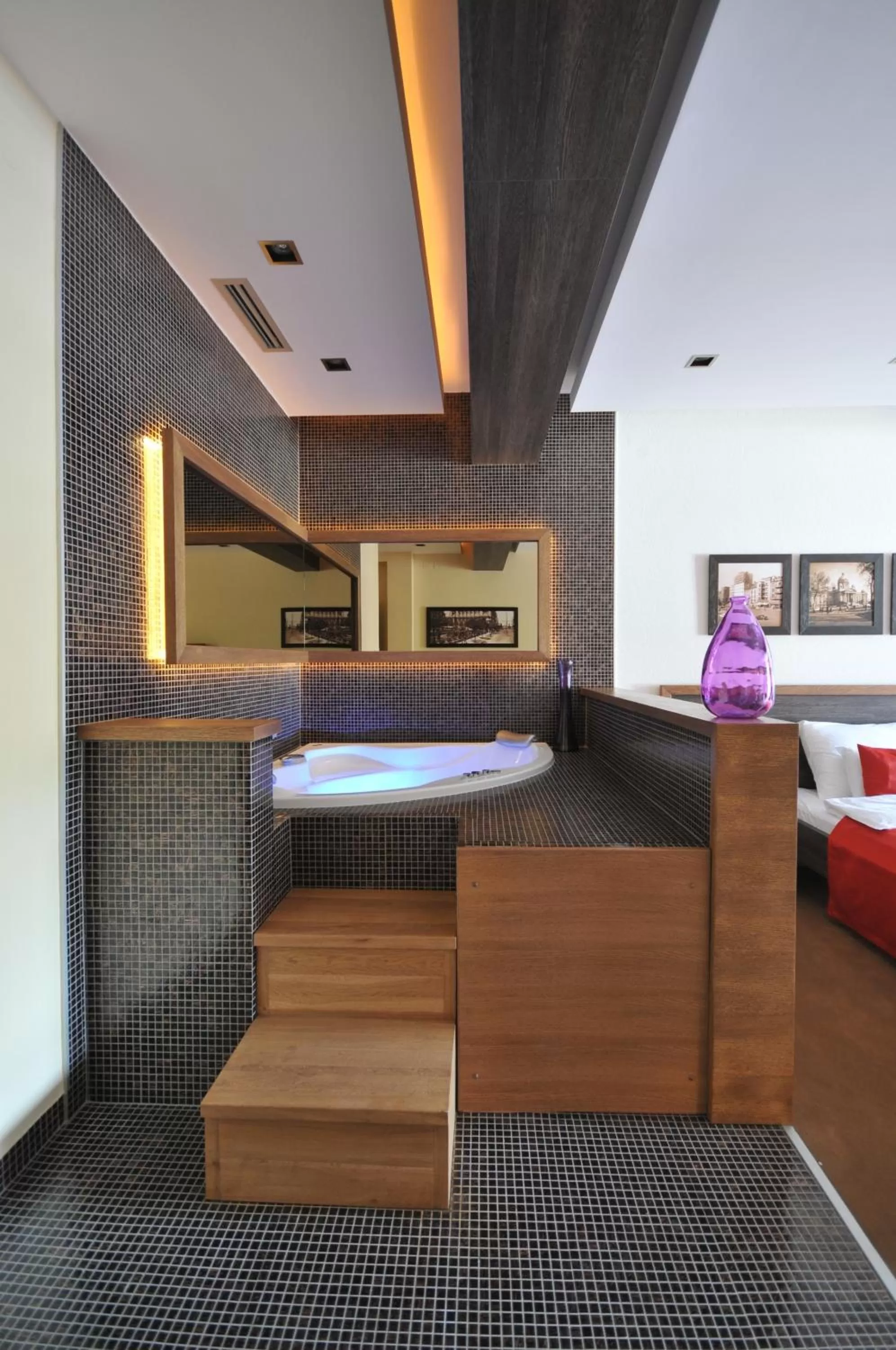 Photo of the whole room, Swimming Pool in Belgrade Boutique House