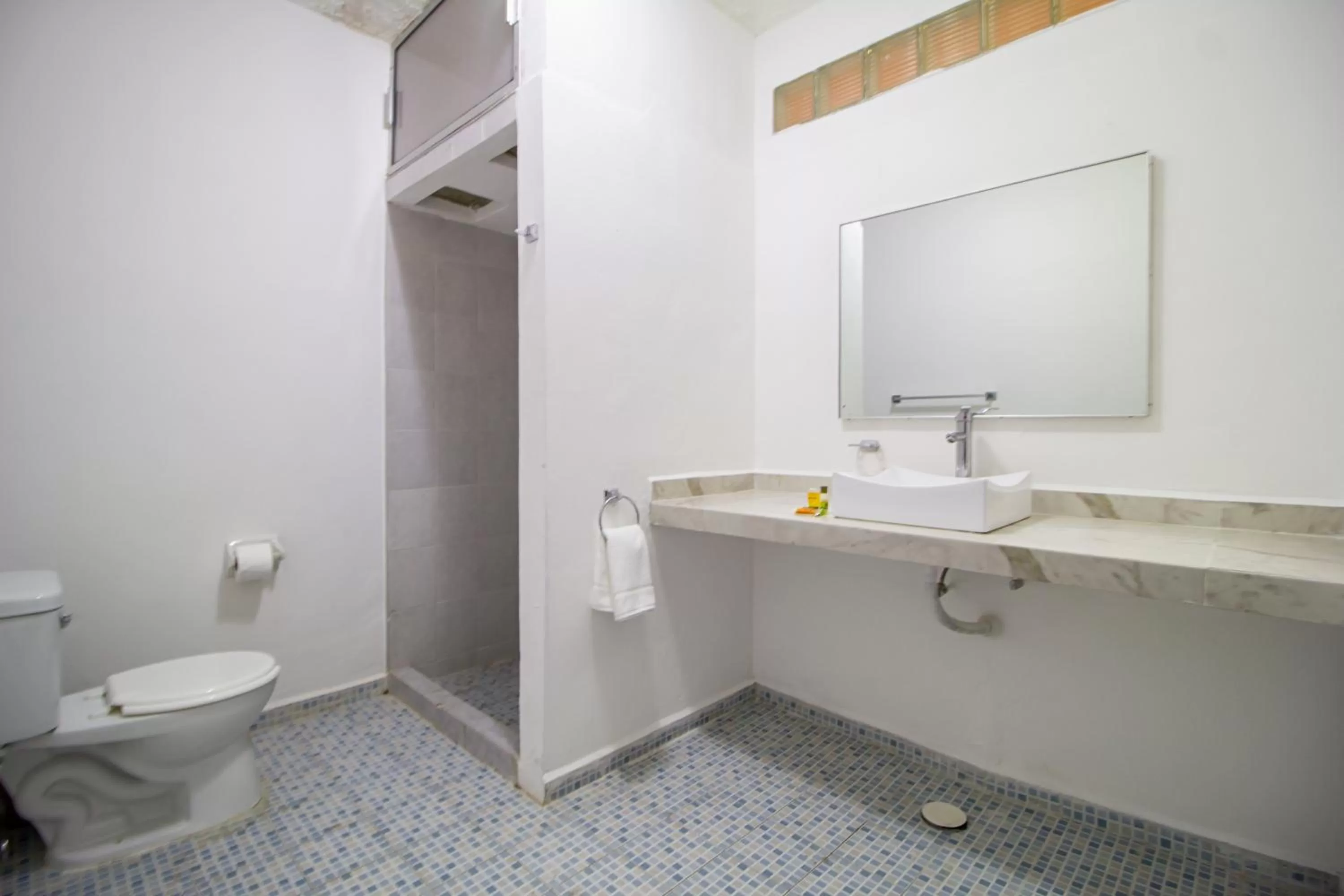 Toilet in Hotel Colon Merida