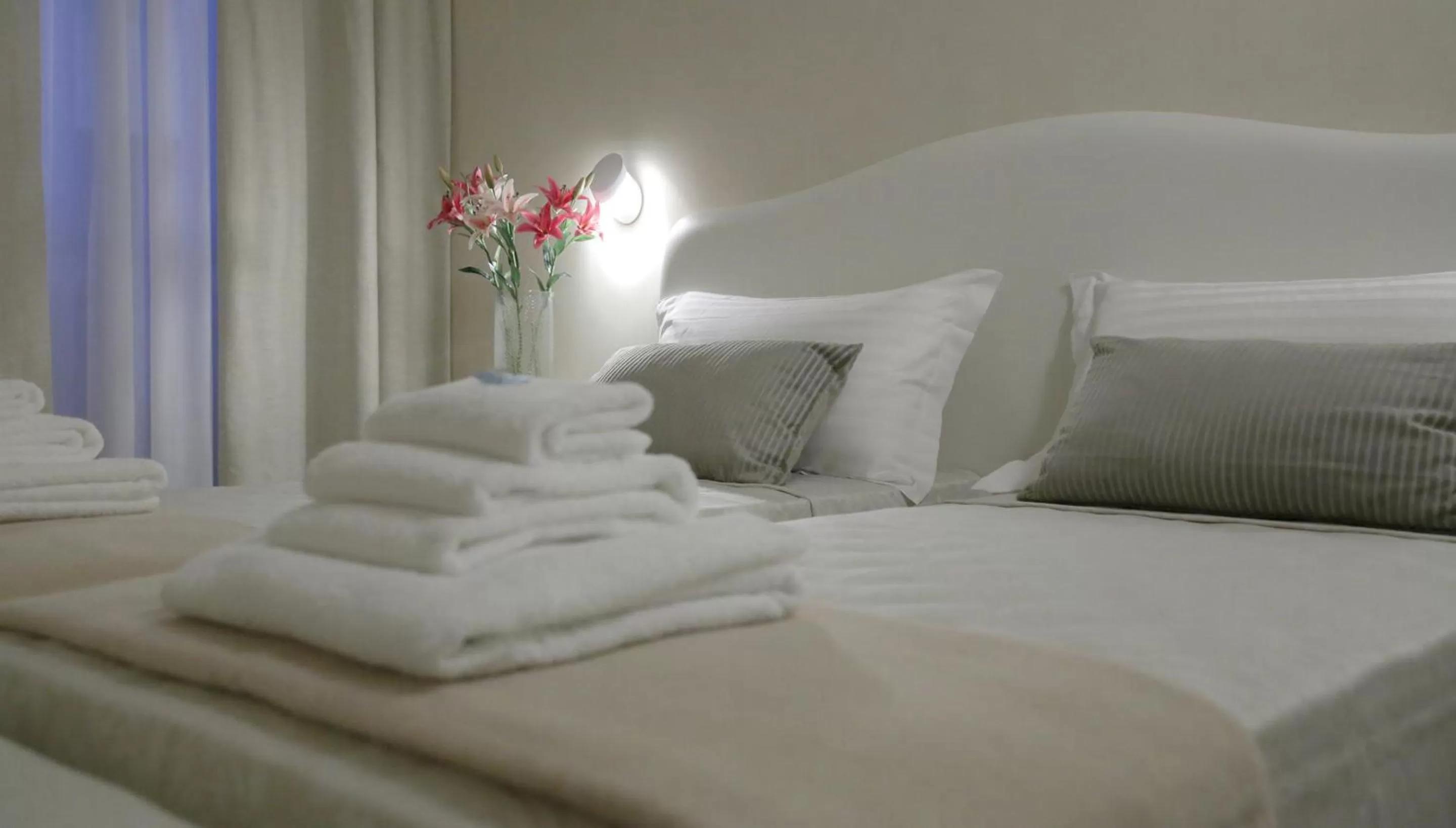 Area and facilities, Bed in Hotel Renaissance