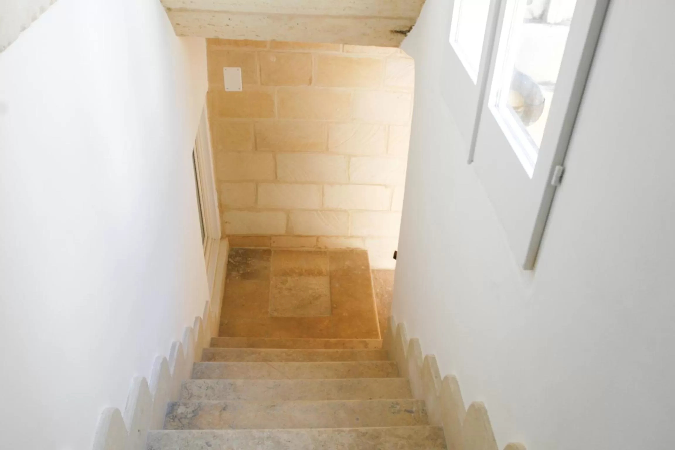 Area and facilities in Casa Balmes