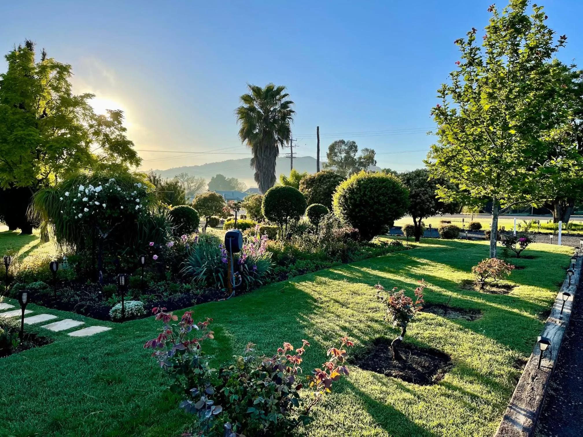 Garden in Quirindi Sunflower Motor Inn