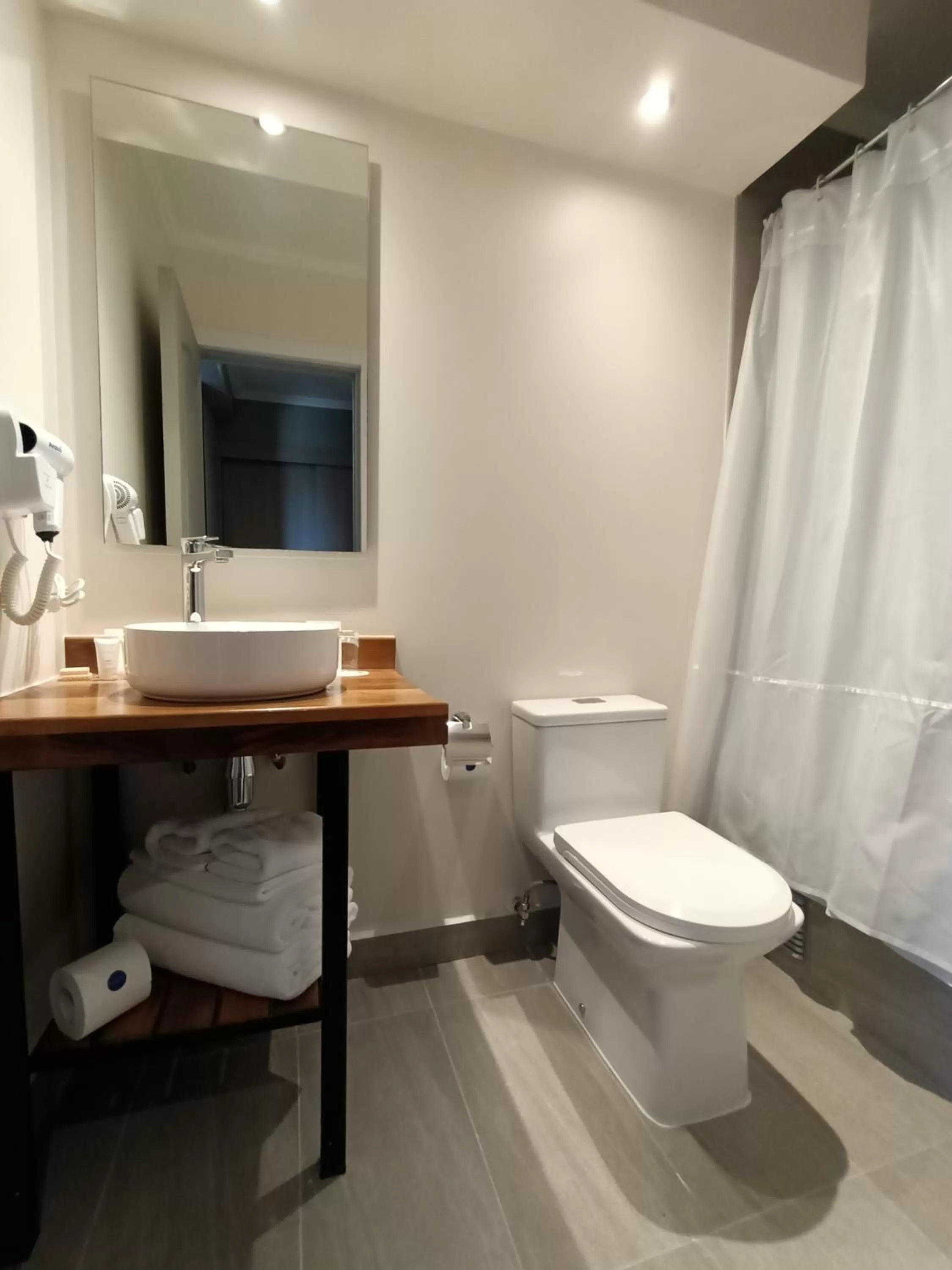 Toilet in Hotel Enjoy Pucón