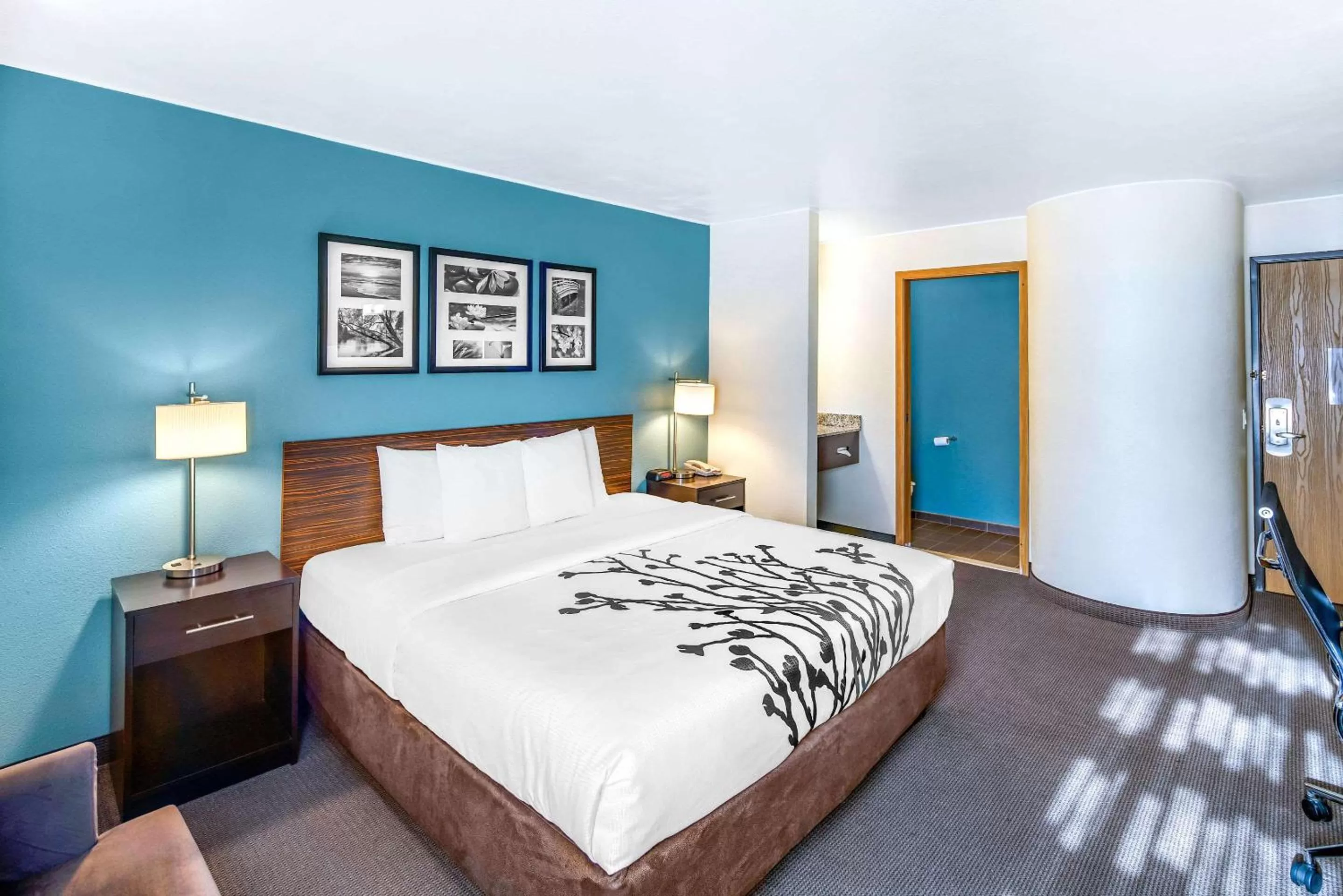 Photo of the whole room, Bed in Sleep Inn near Washington State Line