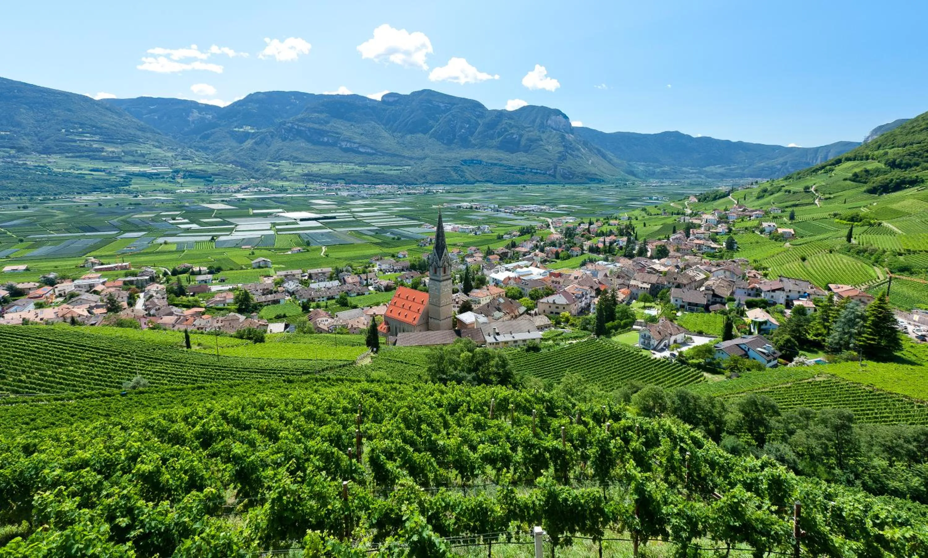 Neighbourhood in Hotel Plattenhof