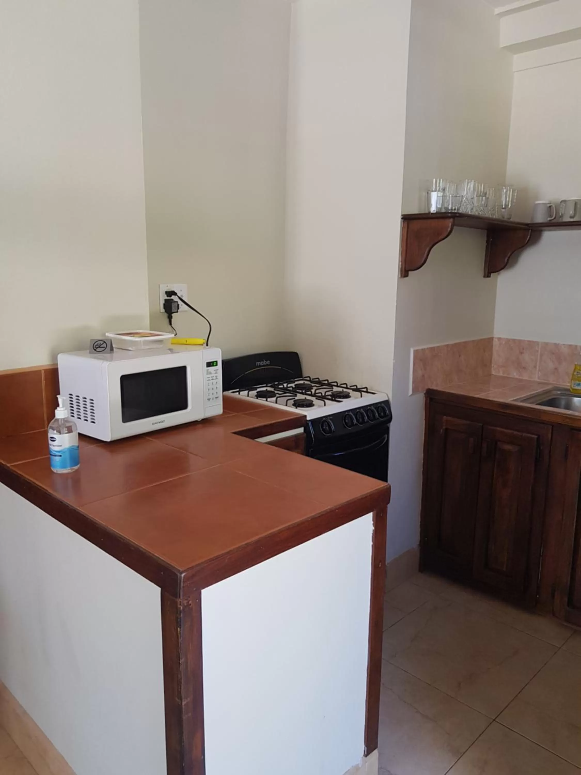 Kitchen/Kitchenette in Wild Orchid