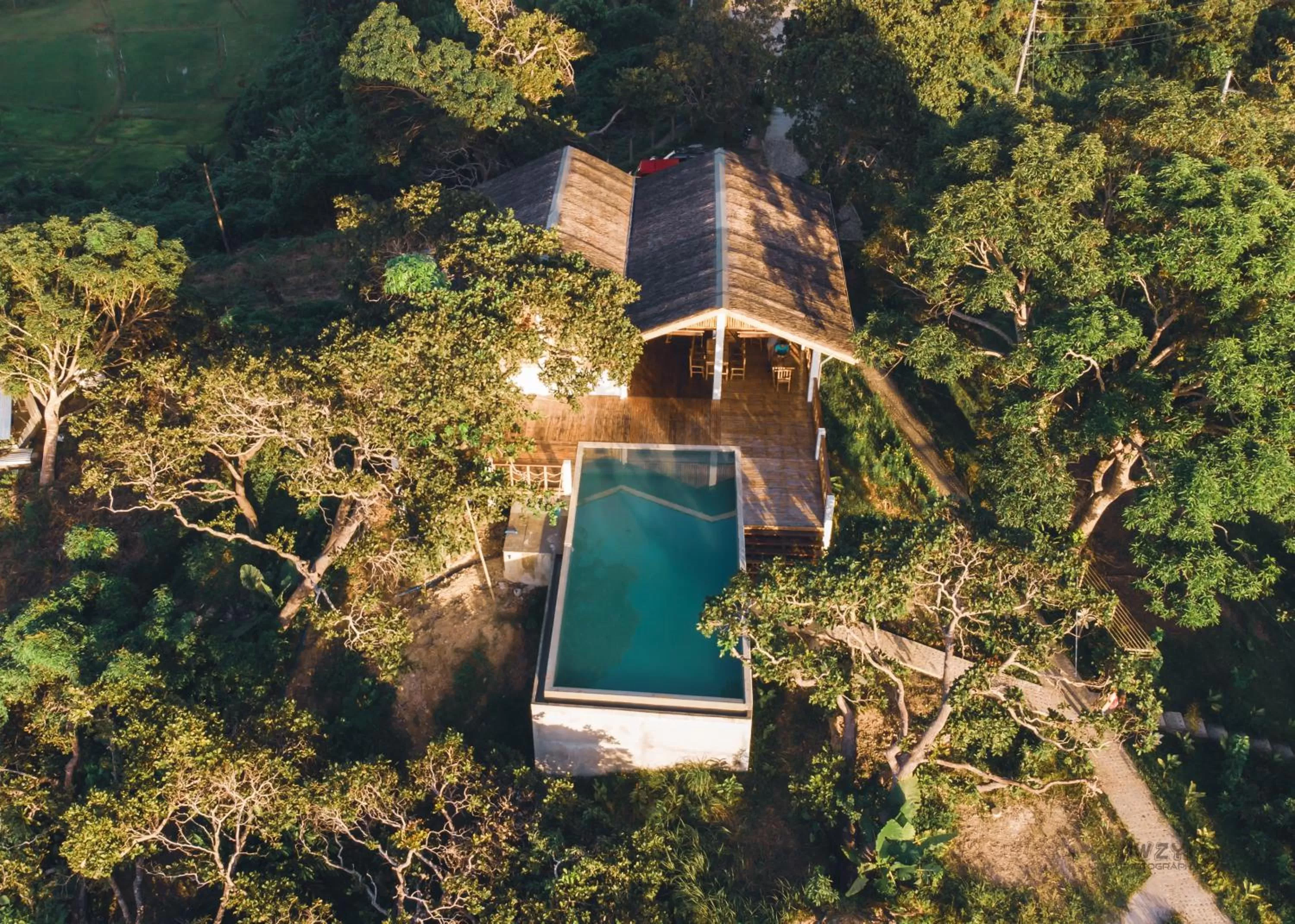 Restaurant/places to eat in Ocean Green Eco Lodge