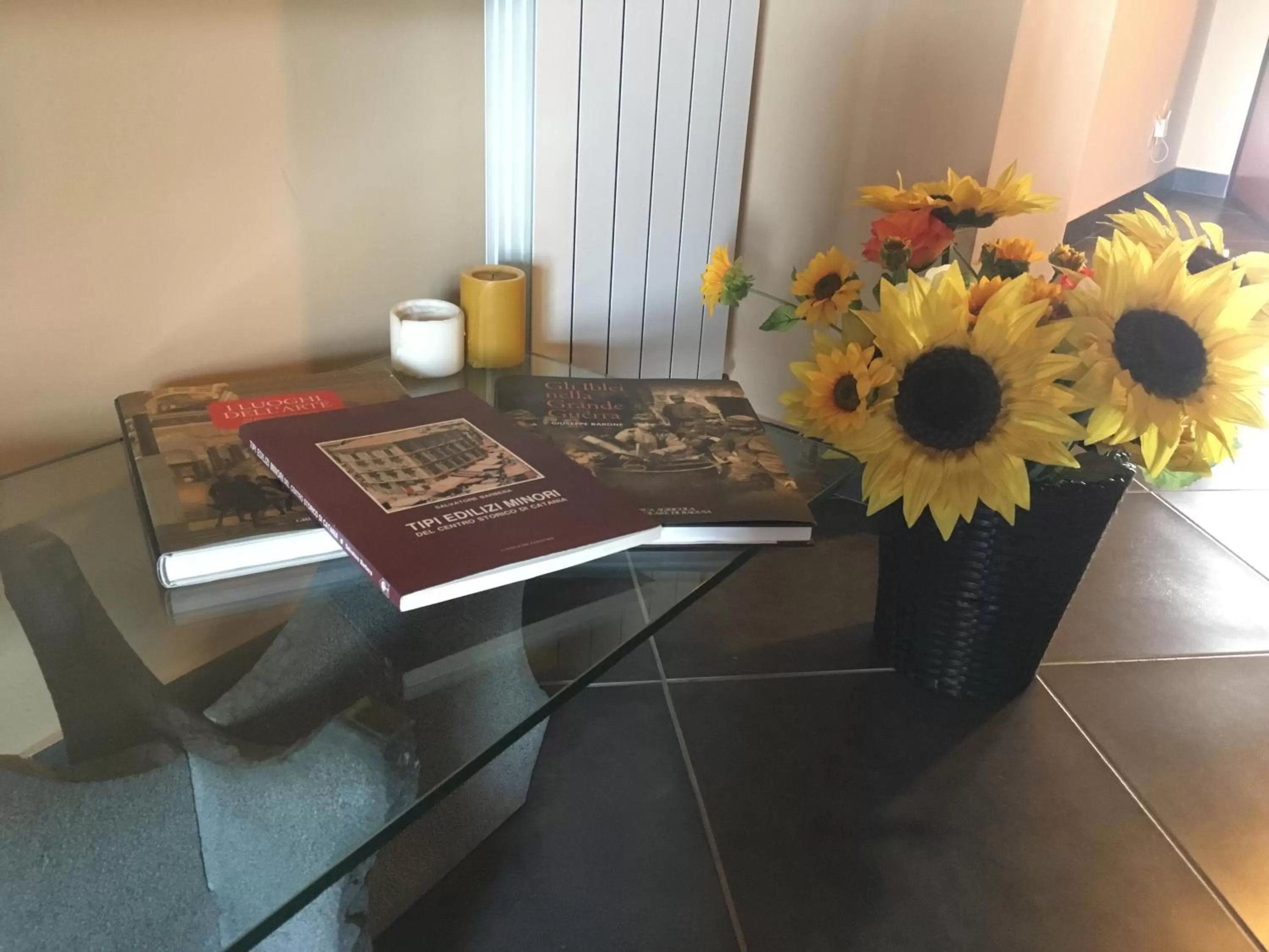 Lounge or bar in B&B Terrazza dell'Etna