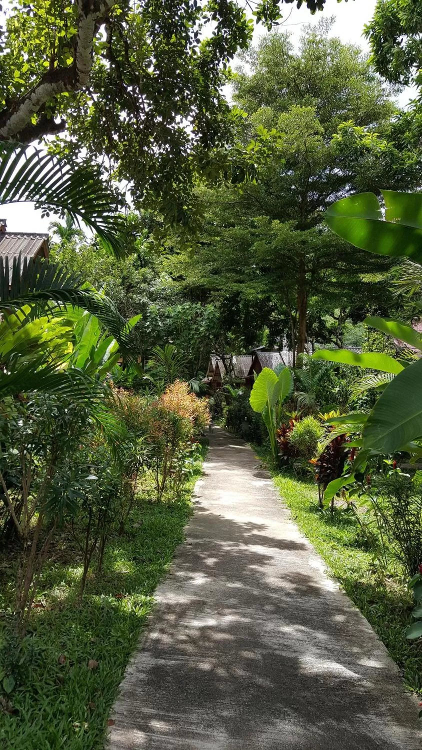Garden in Khao Sok Jungle Huts Resort