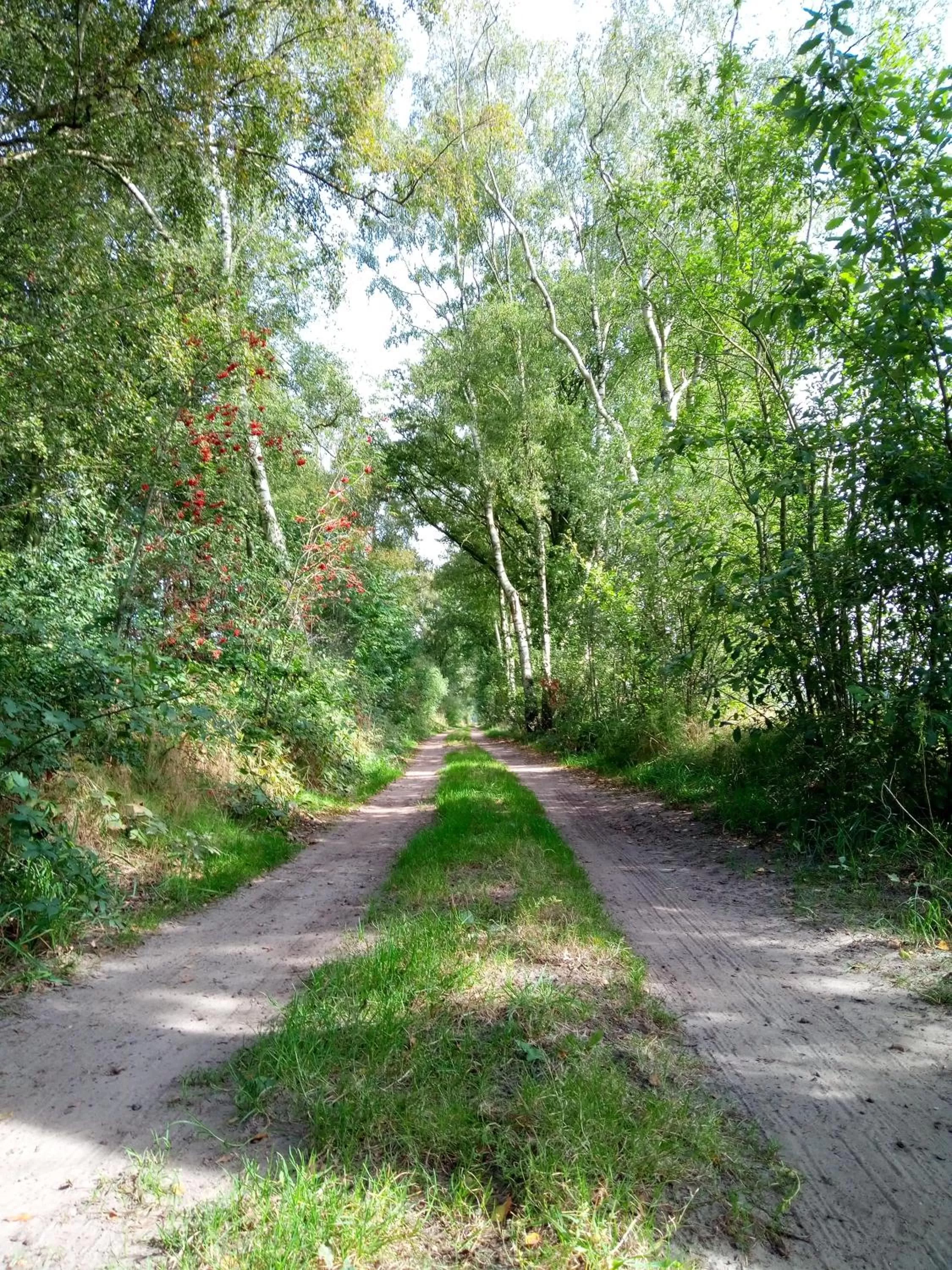 Area and facilities, Garden in B&B In de Wei