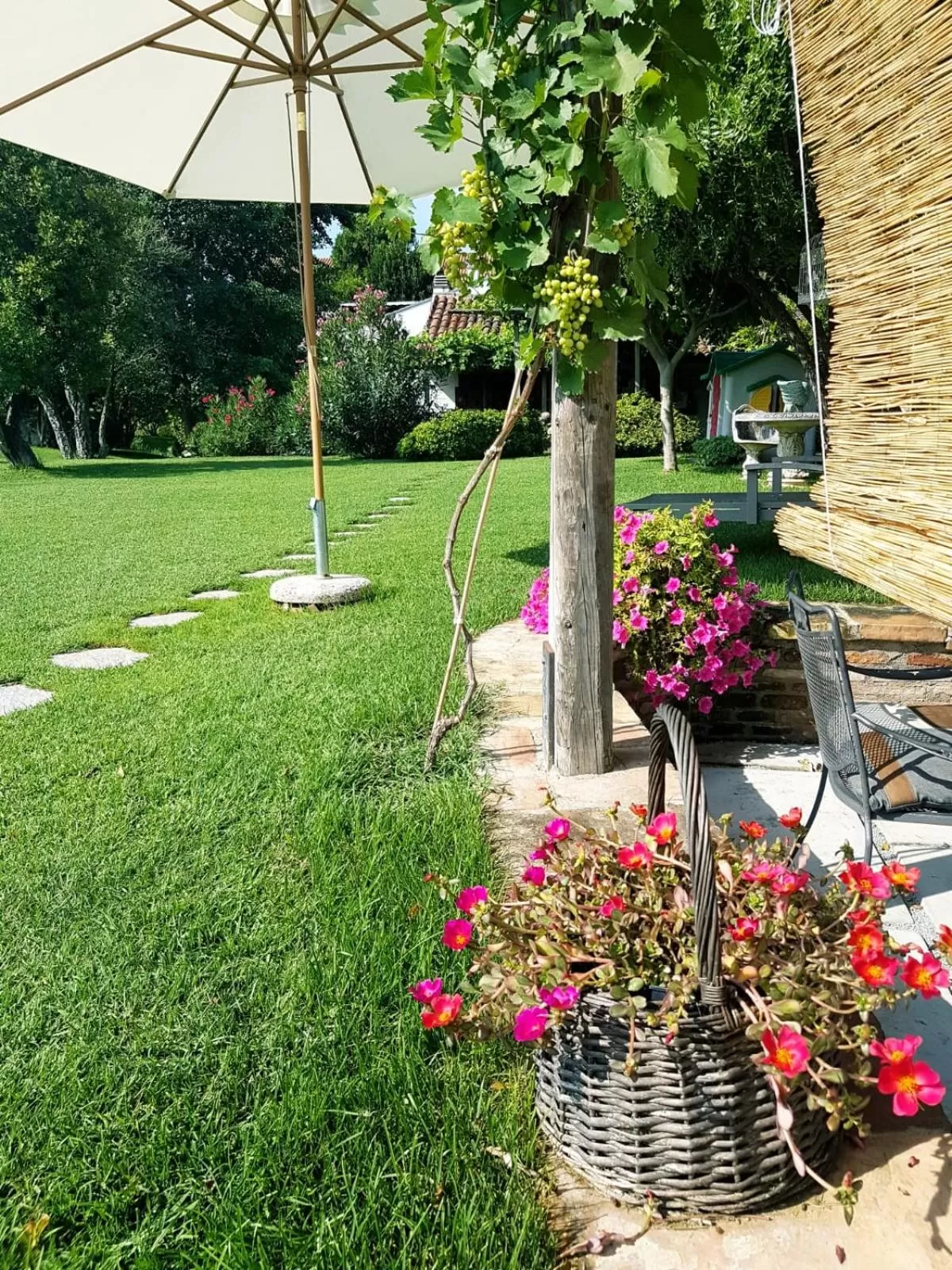 Garden view in La Pergola B&B