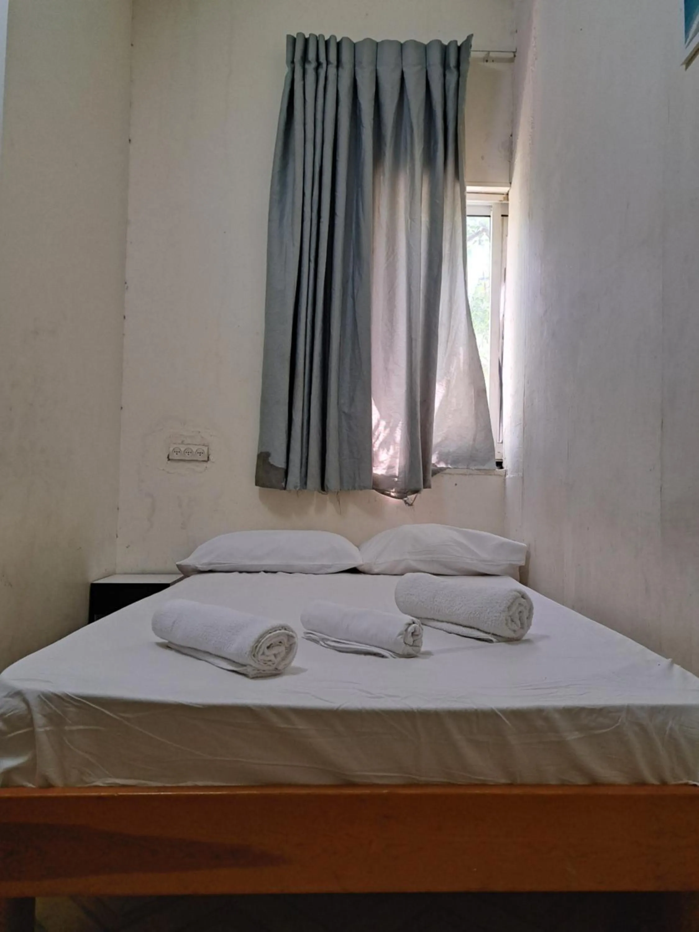 Bed in Momo's Hostel