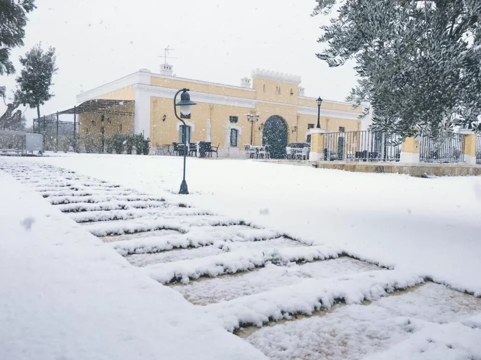 Property building in Tenuta Orsanese