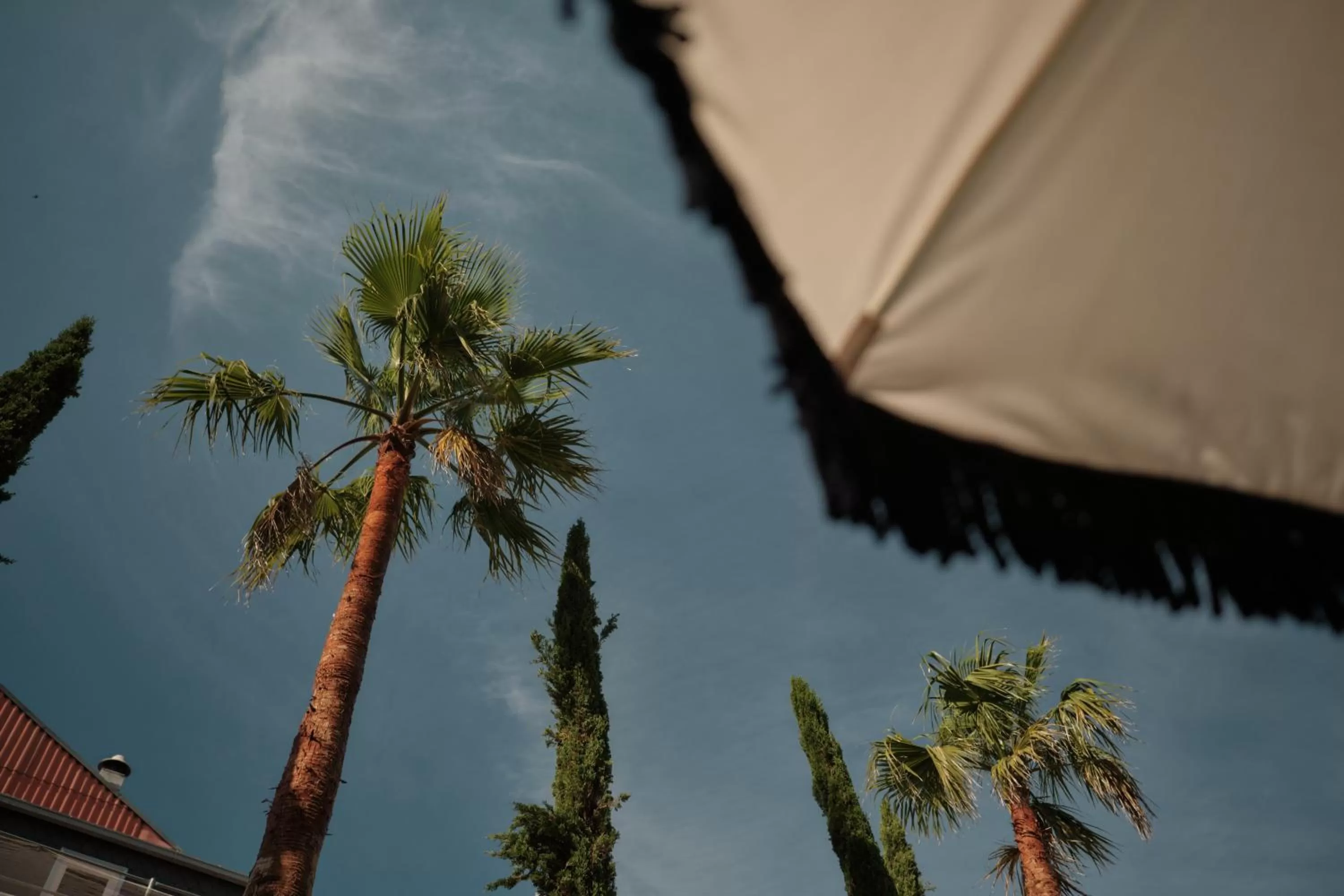 Garden in GA Palace Hotel & Spa, a XIXth-Century Villa