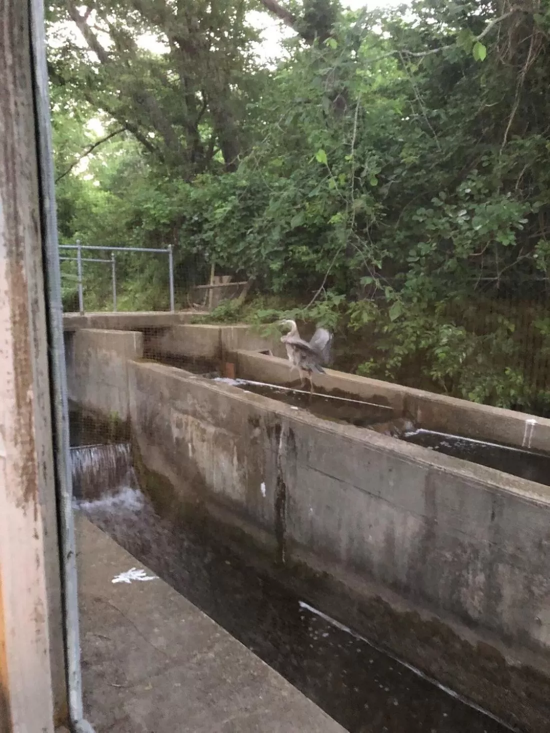 Natural landscape in Herring Run Motel and Tiny Cabins