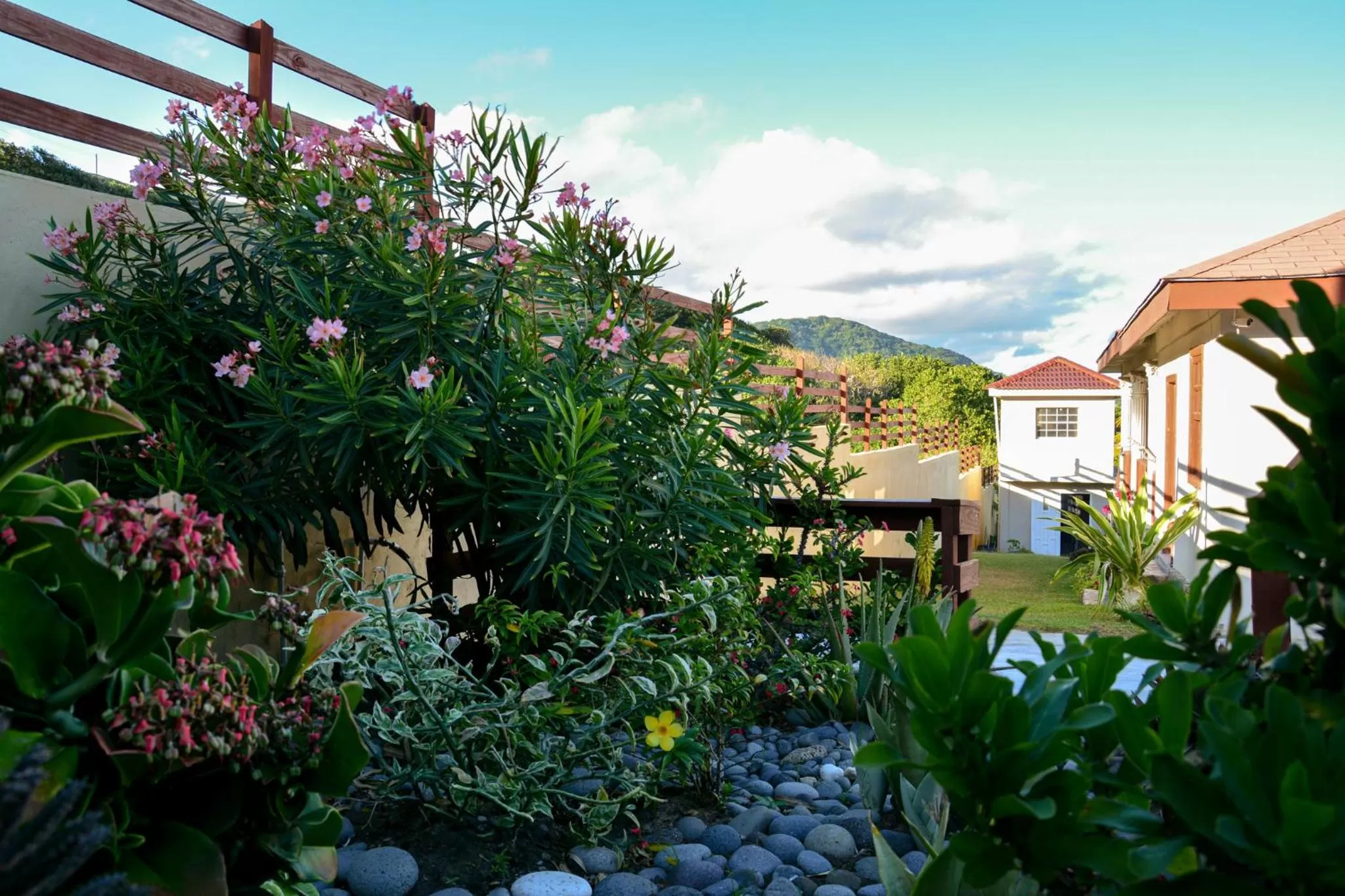 Garden view in The Milligan