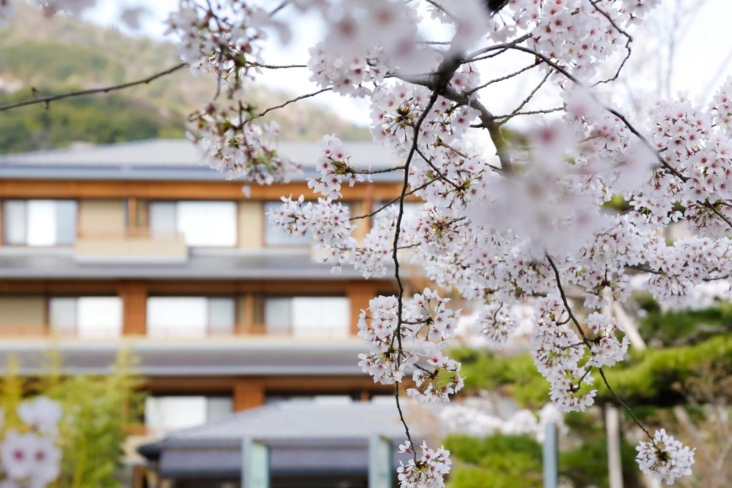 Property building in Kadensho, Arashiyama Onsen, Kyoto - Kyoritsu Resort