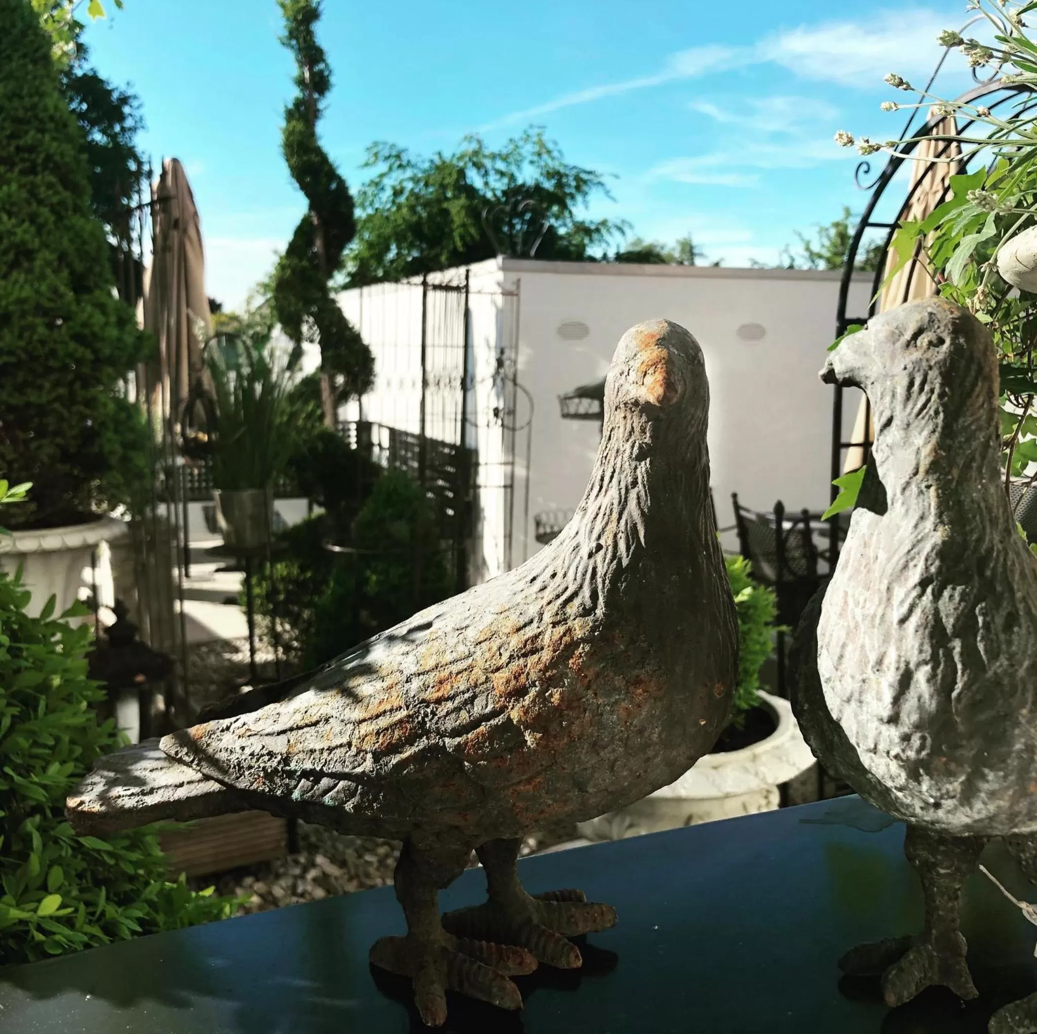 Other Animals in Landcafe mit Mini Hotel