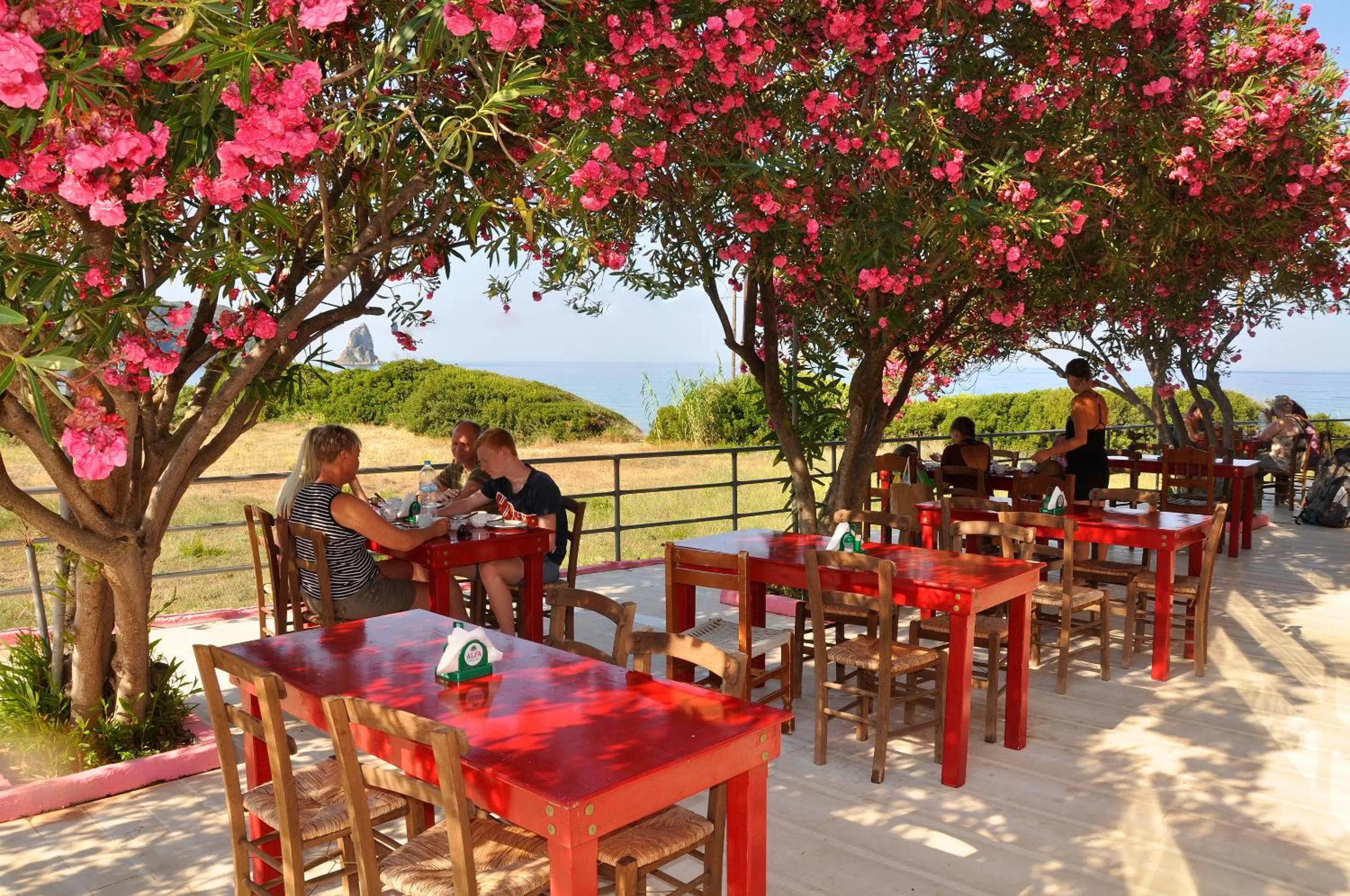 Restaurant/places to eat in Pink Palace Beach Resort