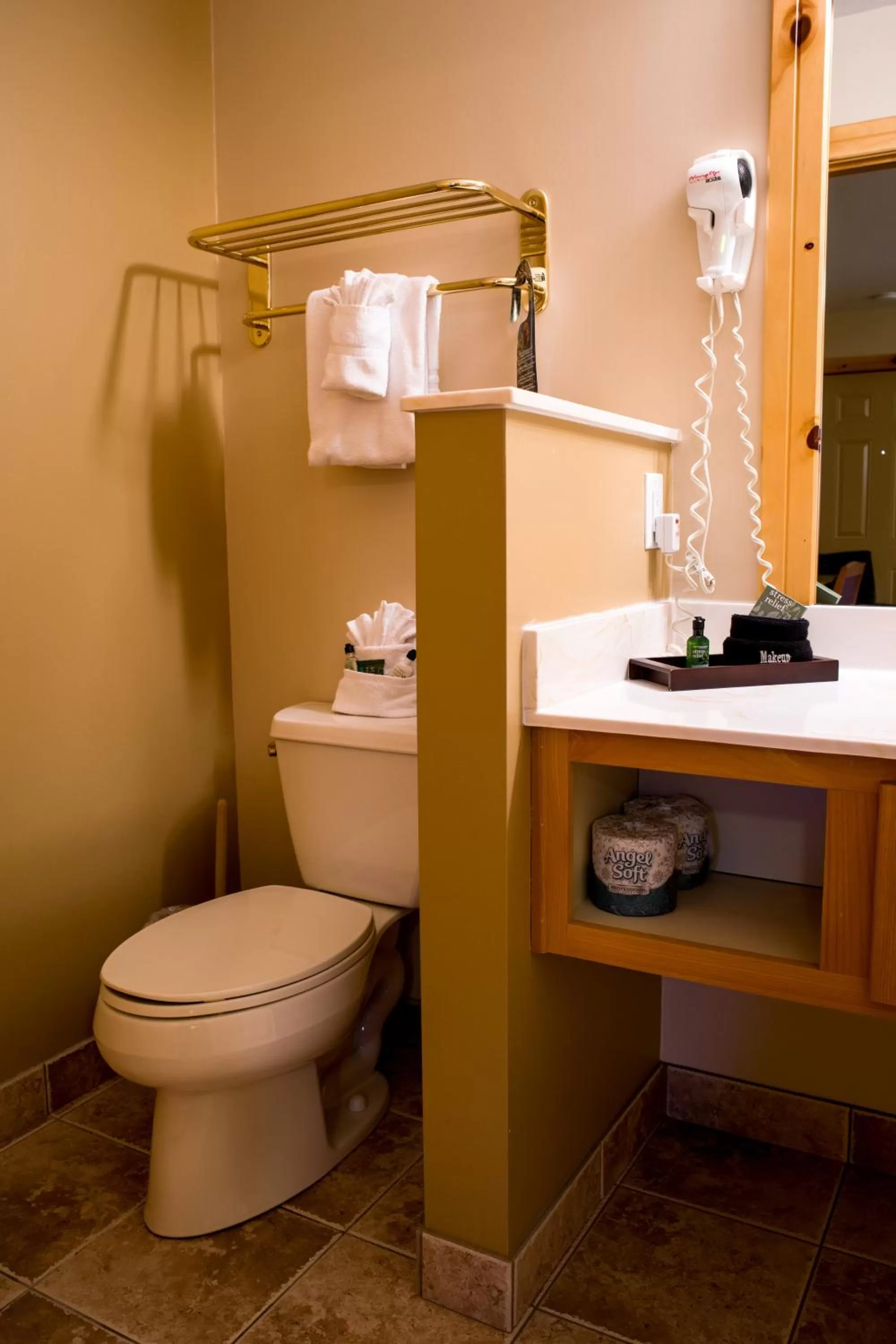 Toilet in Appenzell Inn