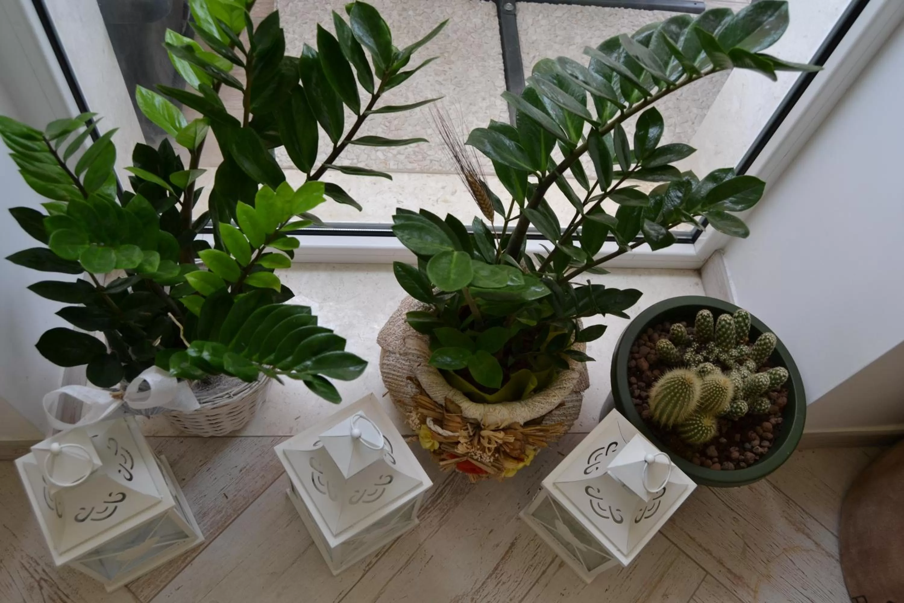 Communal lounge/ TV room in Bed and Breakfast Sun Wine