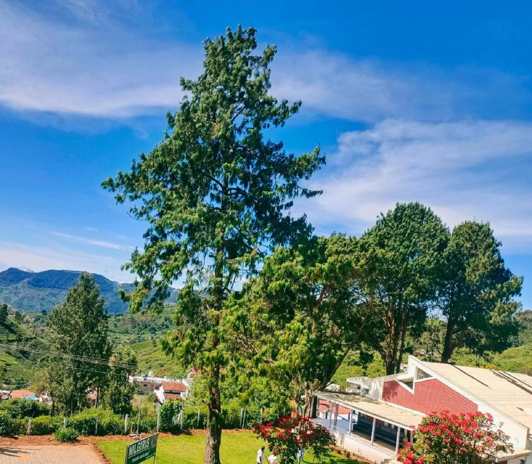 Neighbourhood in Nilgiris Inn By Lexstays Kotagiri, Ooty