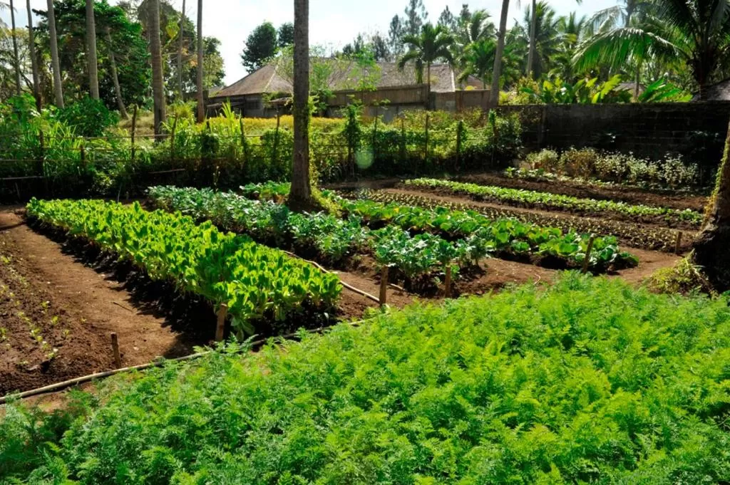 Garden in The Farm at San Benito
