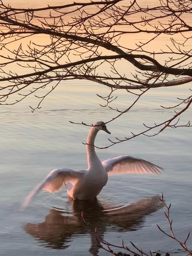 Animals, Other Animals in Bed and Breakfast Bavaria München