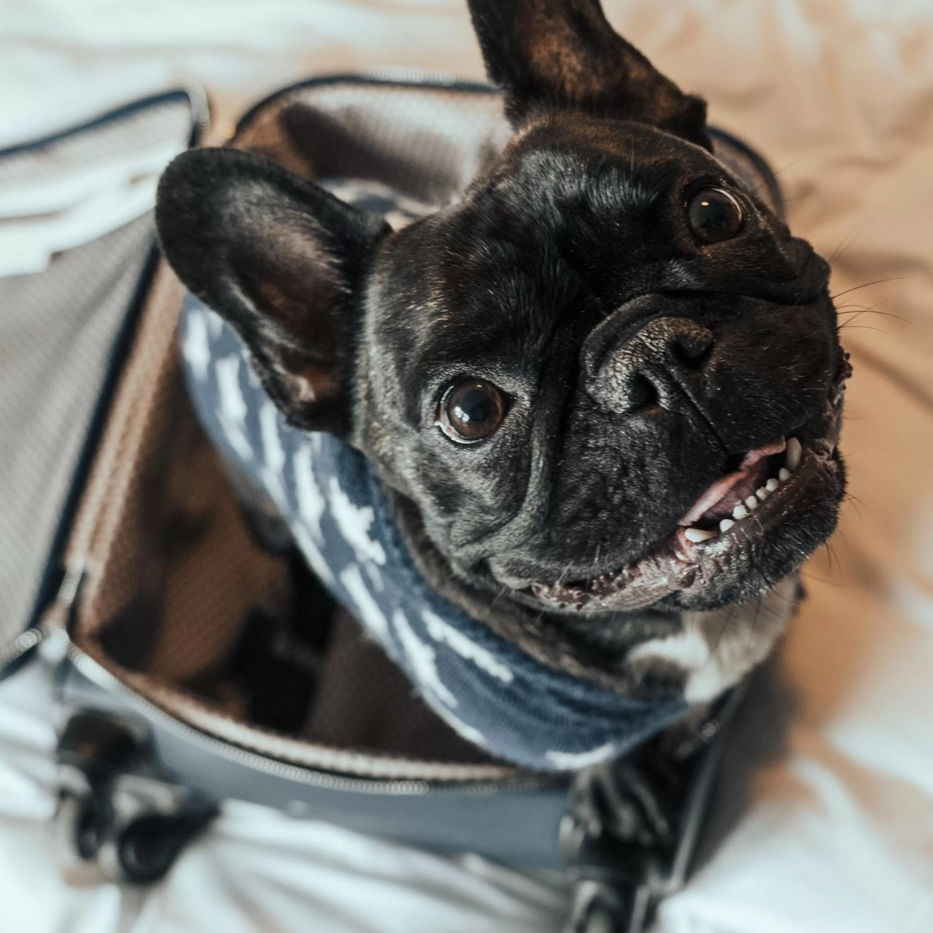 Animals in Botanika Uppsala