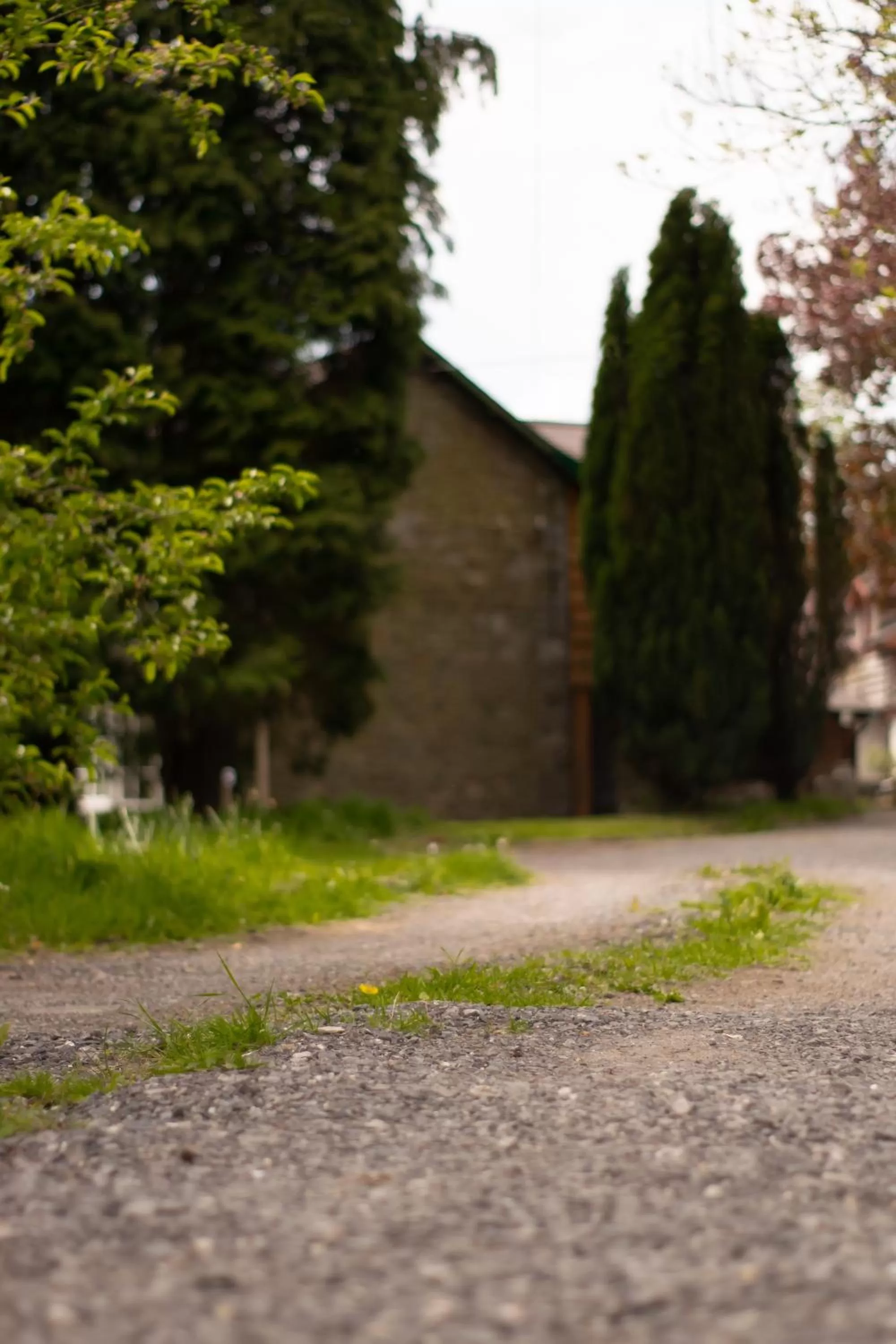 Natural landscape in Pontyclerc Farm House Bed and Breakfast
