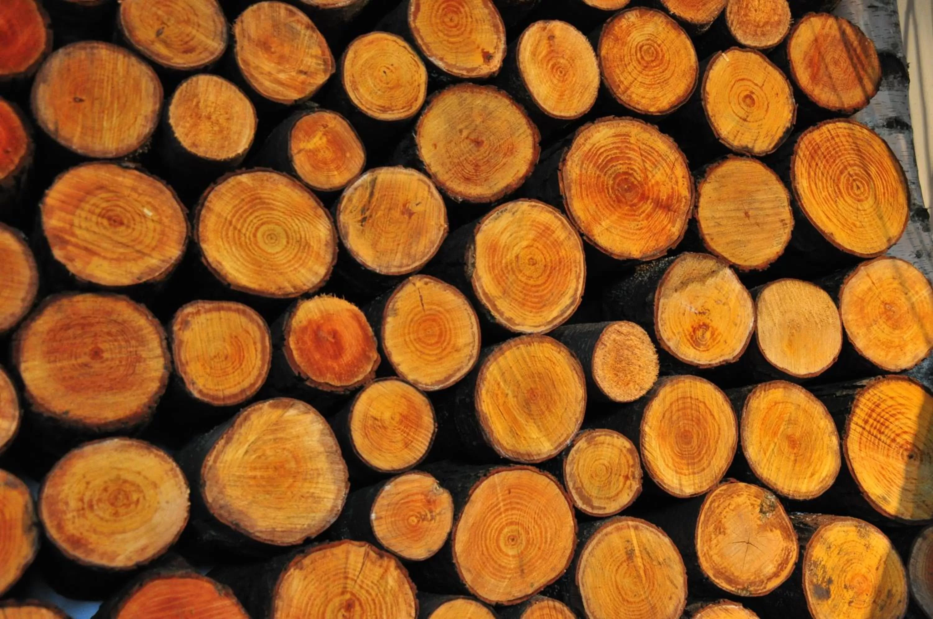 Decorative detail, Food in Stary Tartak