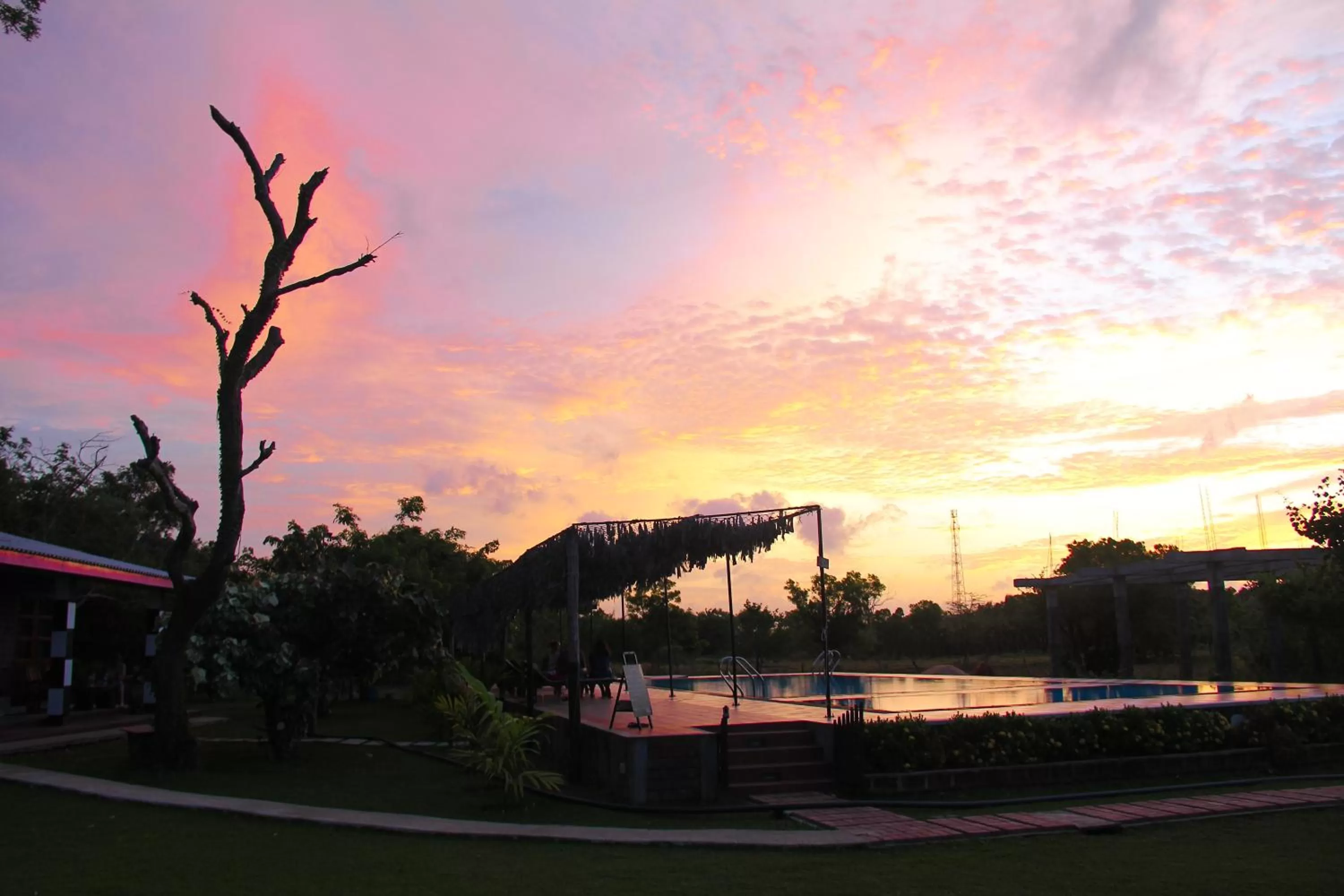 Swimming pool in Eco Hotel Black & White - Anuradhapura