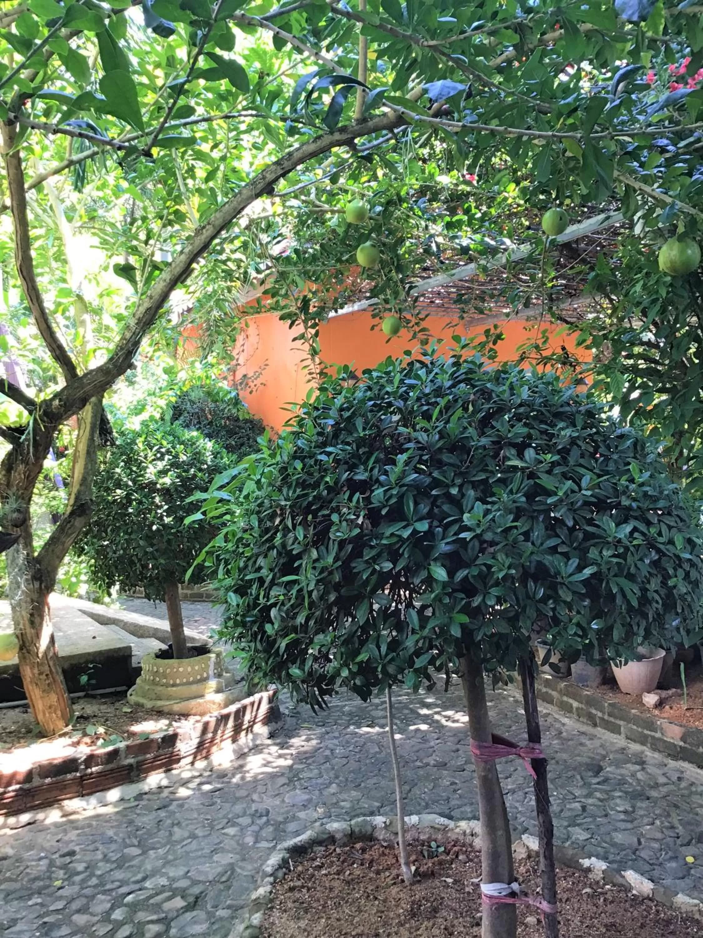 Garden in Pratum Resort