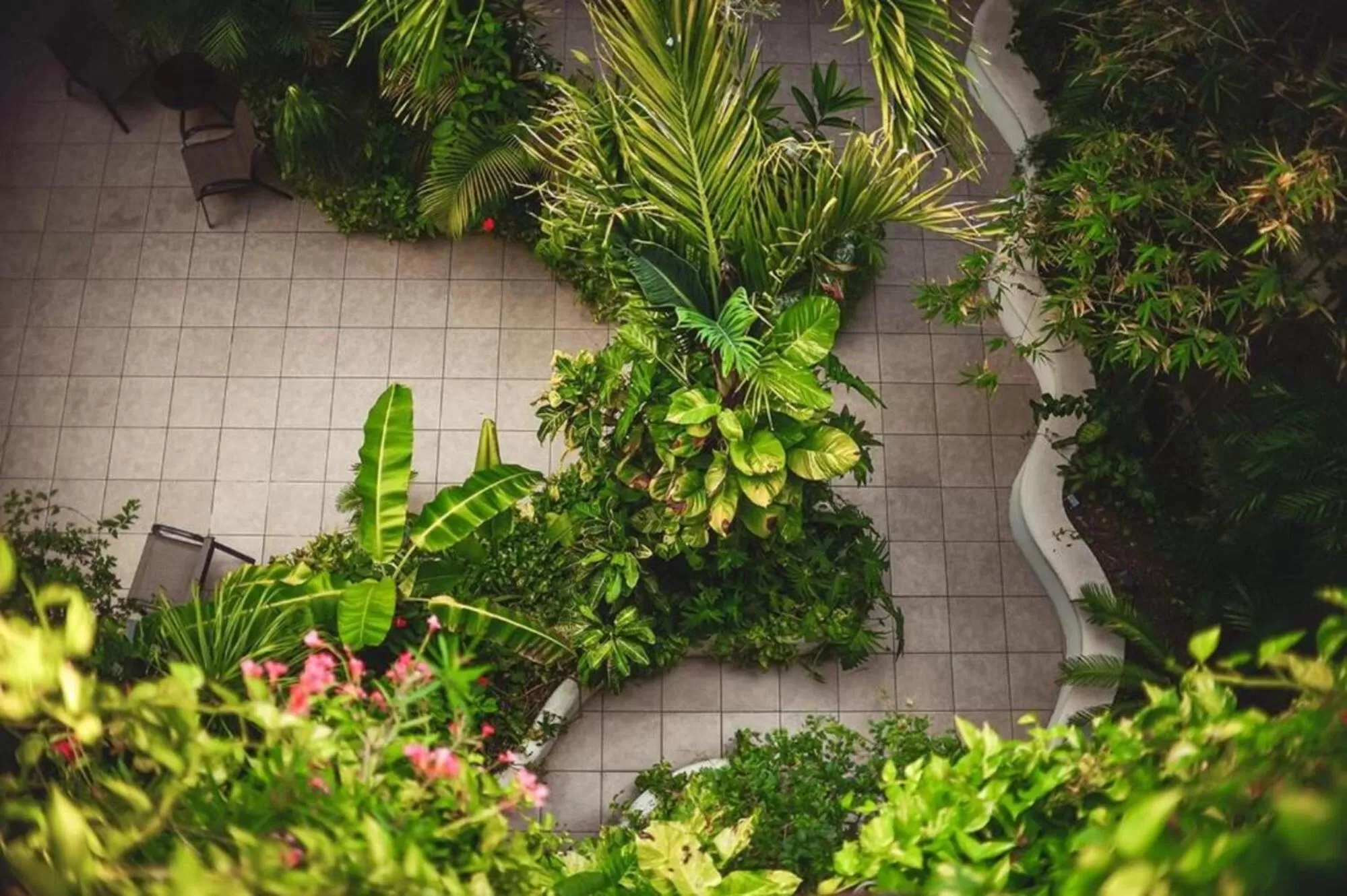 Garden in Encanto Riviera