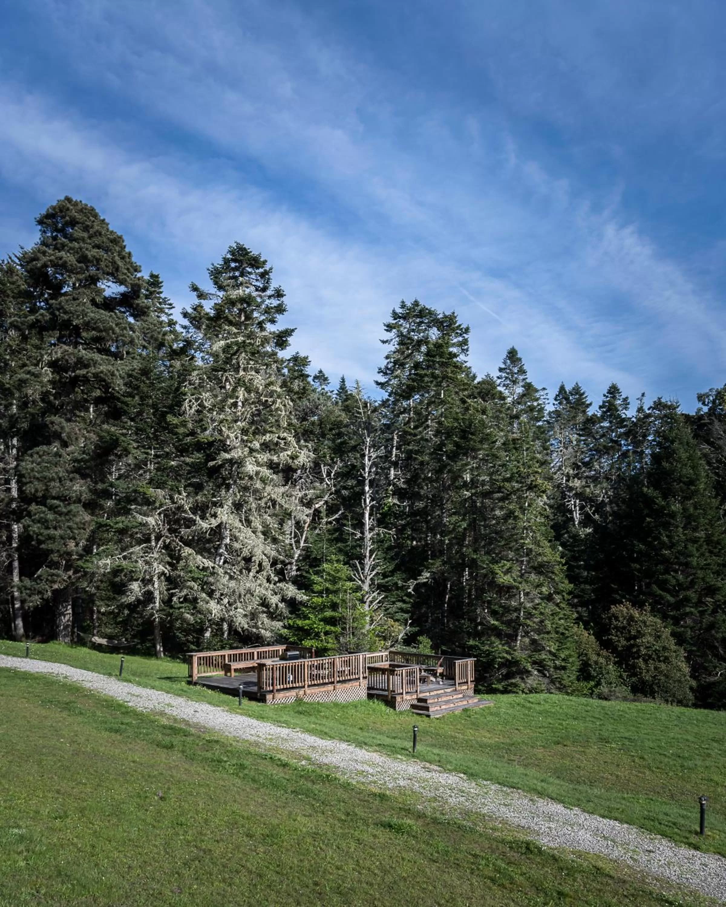 Natural landscape in Inn at Schoolhouse Creek