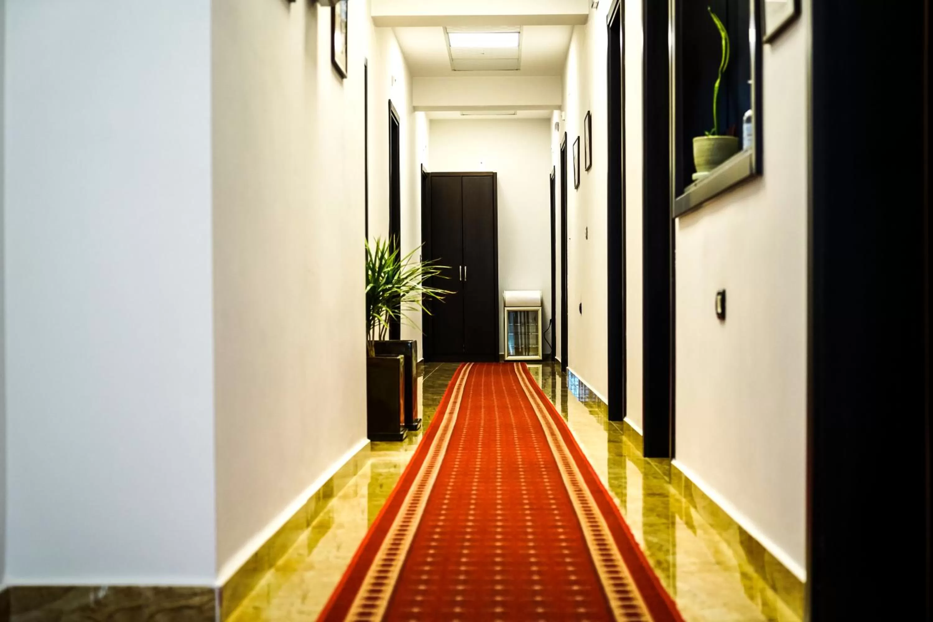 Lobby or reception in Hotel Magic