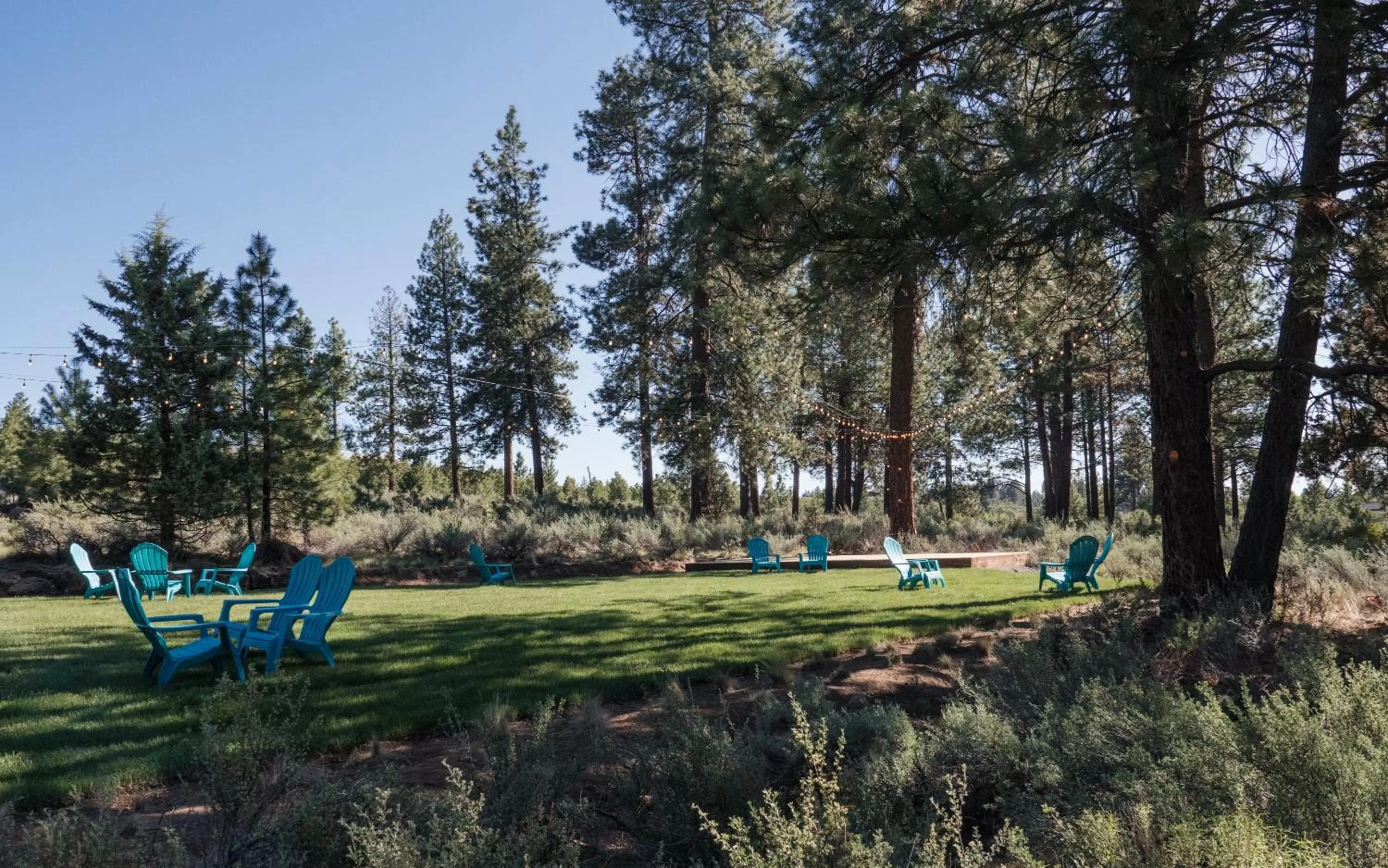 Natural landscape in LOGE Bend