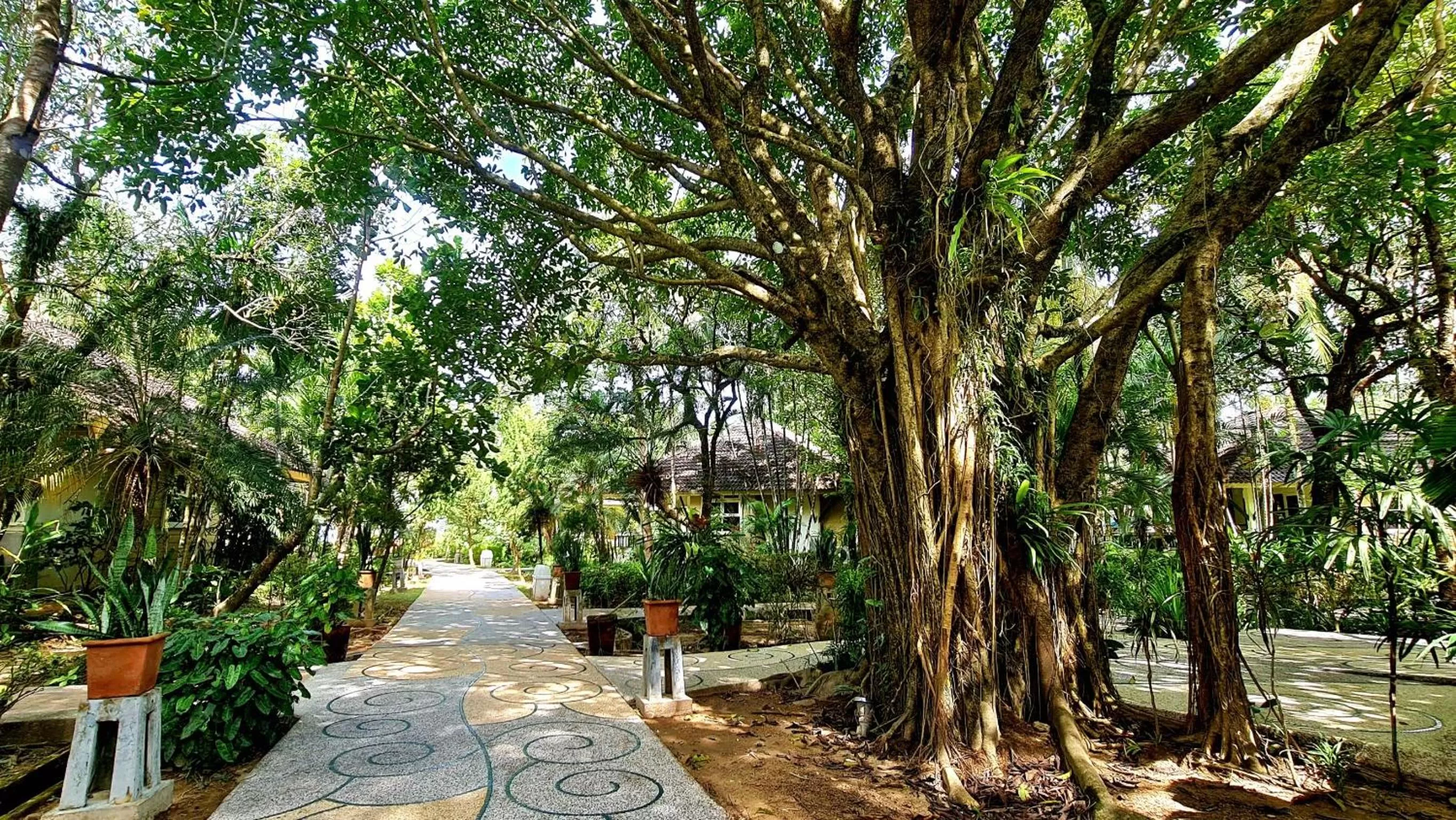 Property building in Baan Khaolak Beach Resort