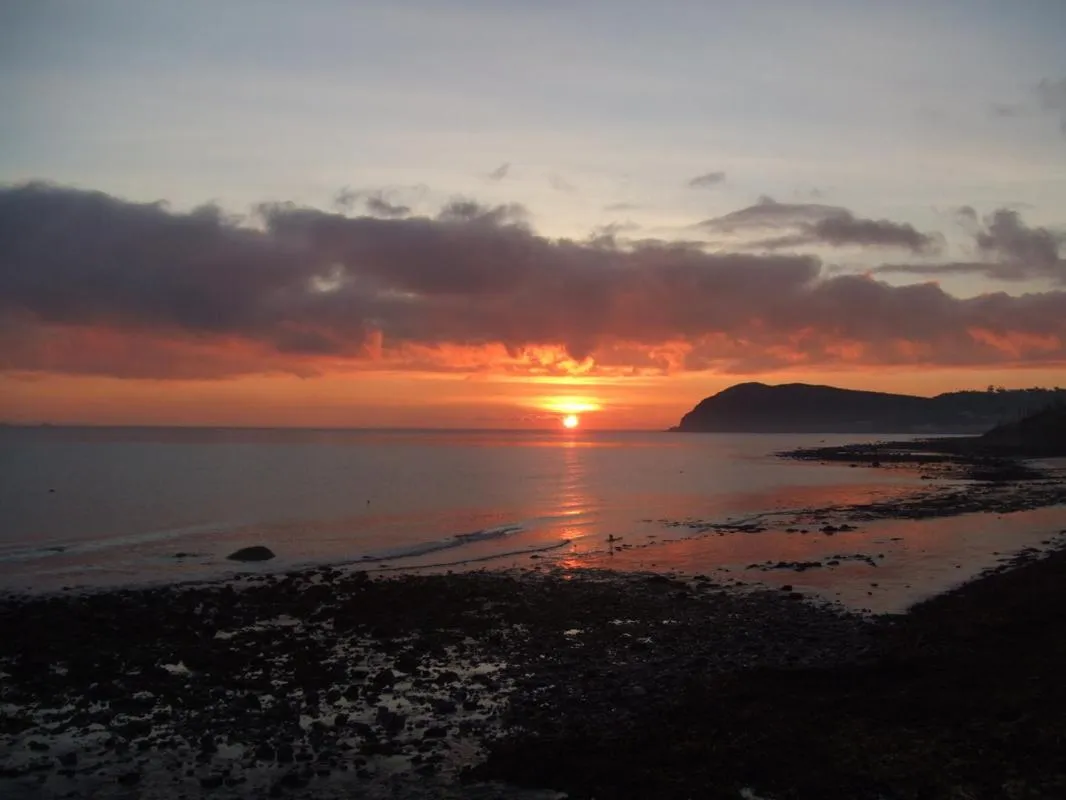 Spring in Halfway House Hotel