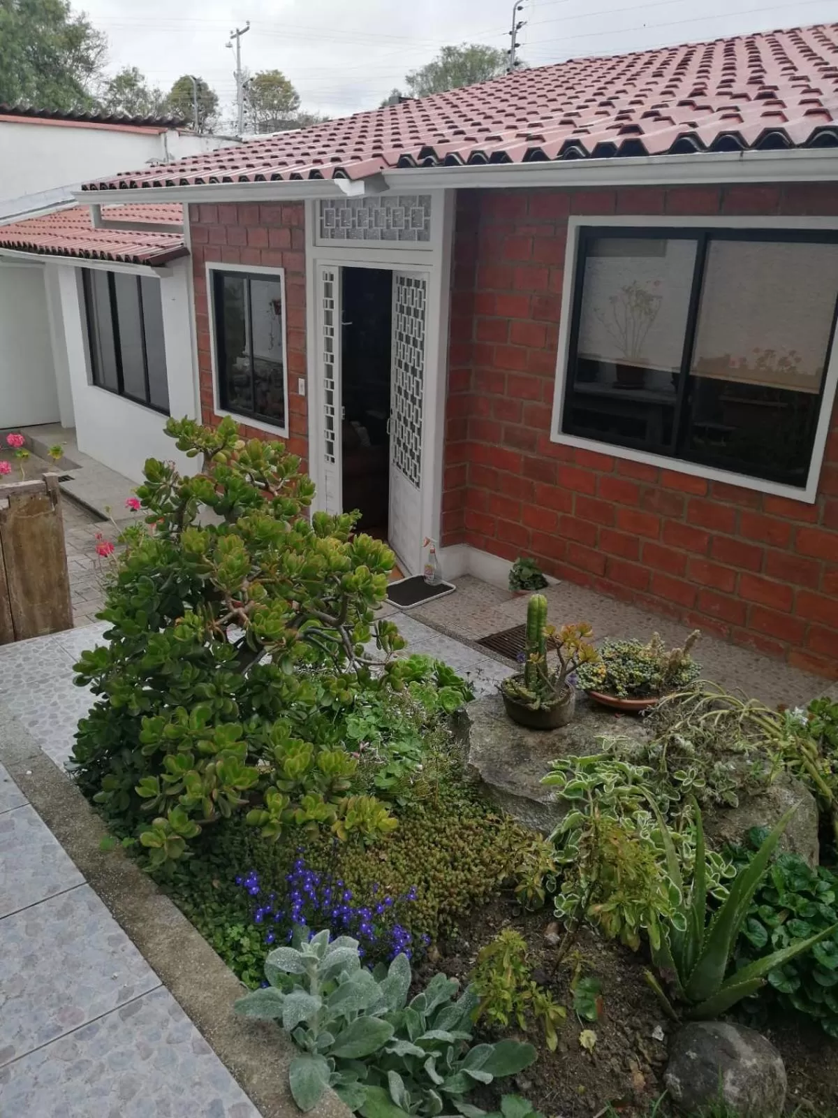 Garden in Casatodosantos