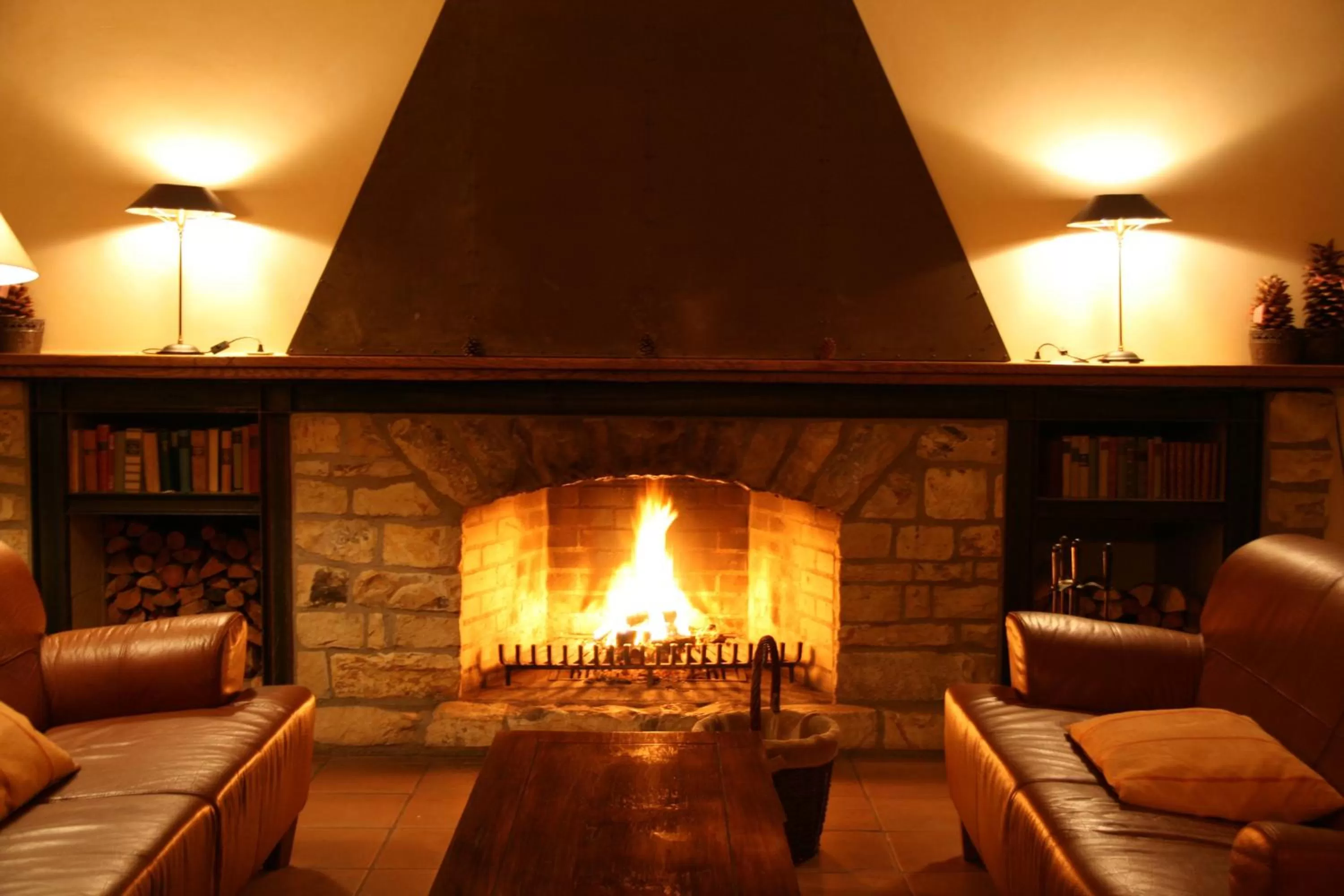 Lounge or bar in Hotel Speicher am Ziegelsee