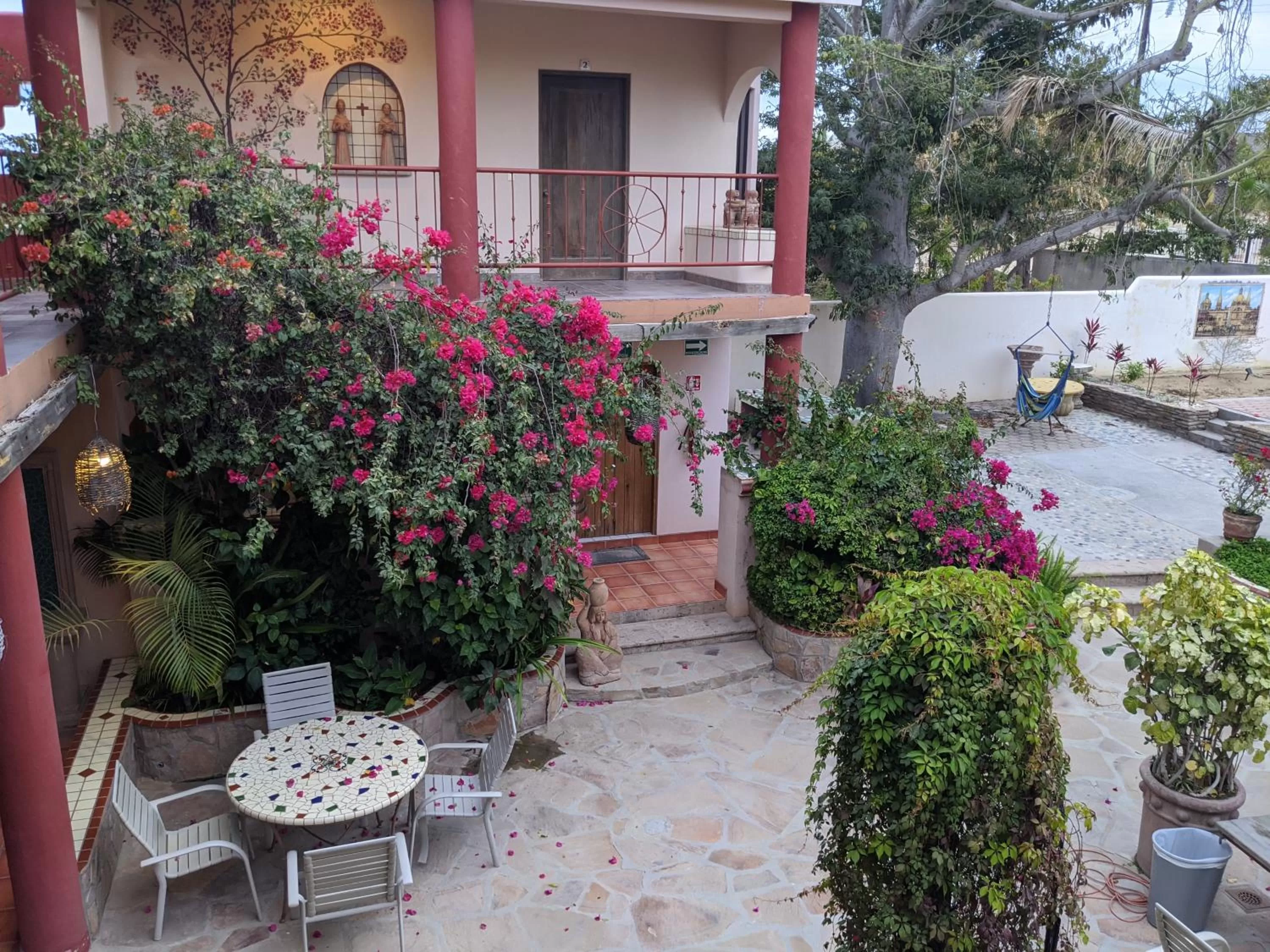Garden in Hacienda De Palmas