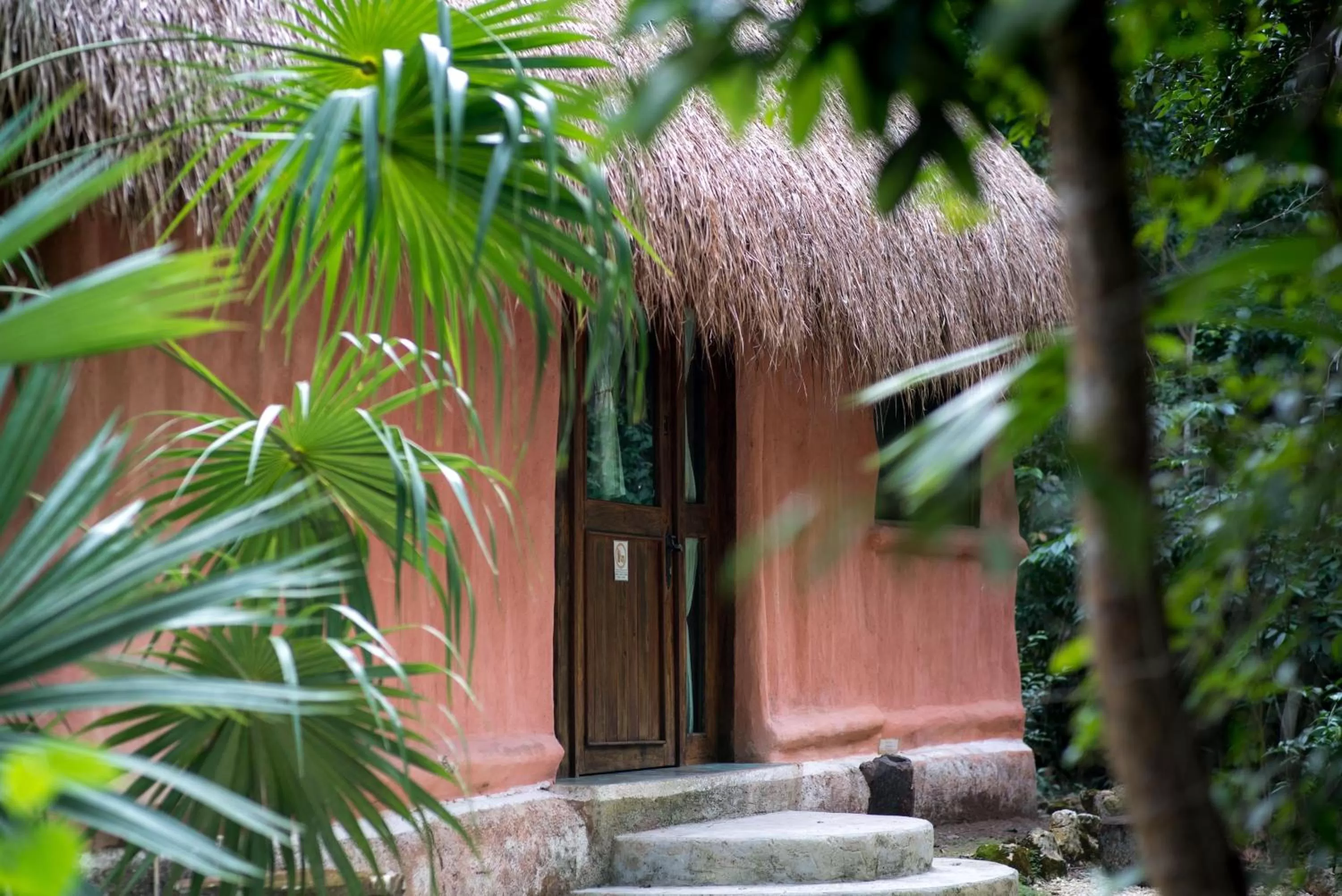 One-Bedroom Bungalow in Jolie Jungle Eco Hotel