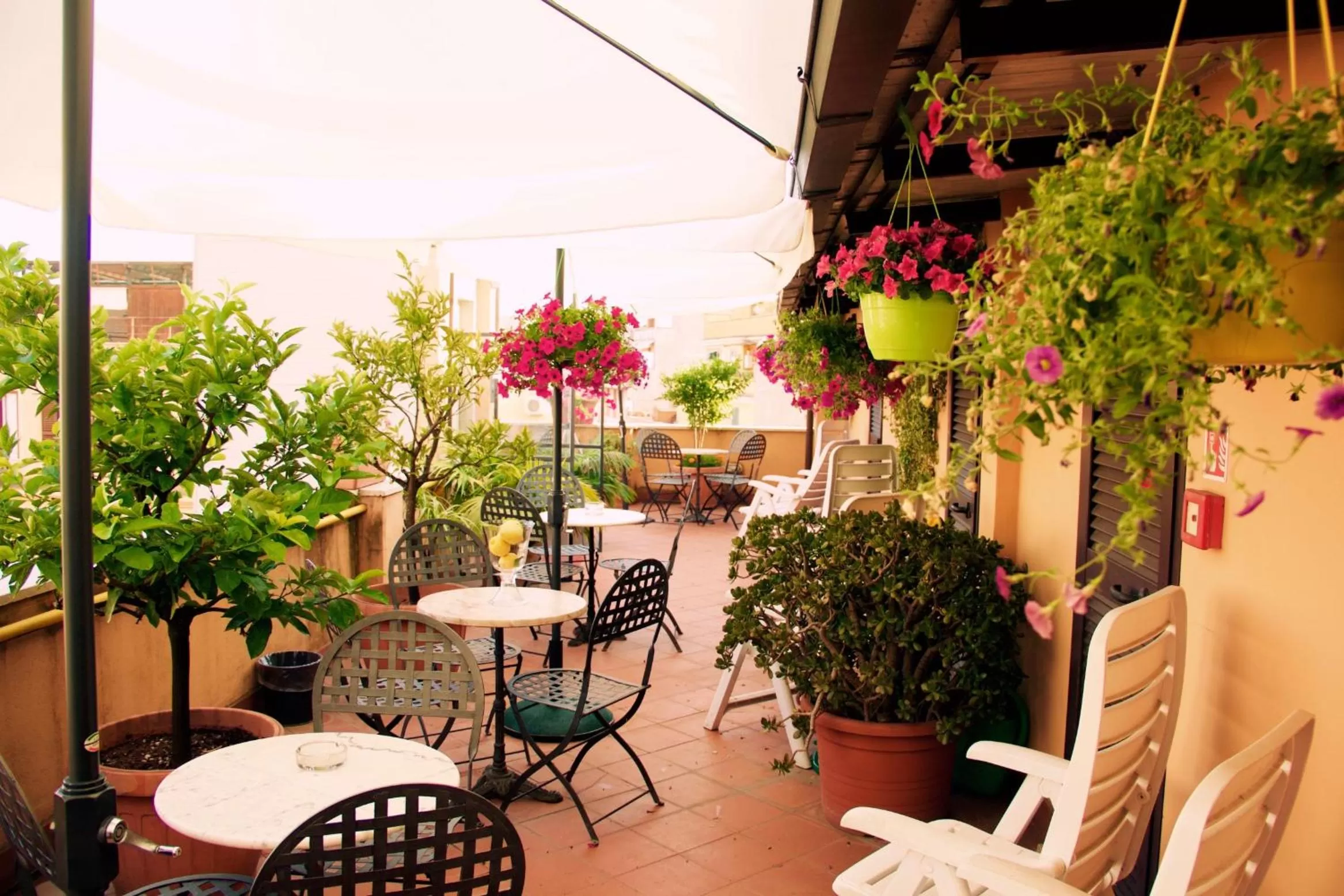 Garden in Hotel Novecento